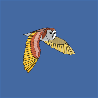 飛翔貓頭鷹插圖 壁紙