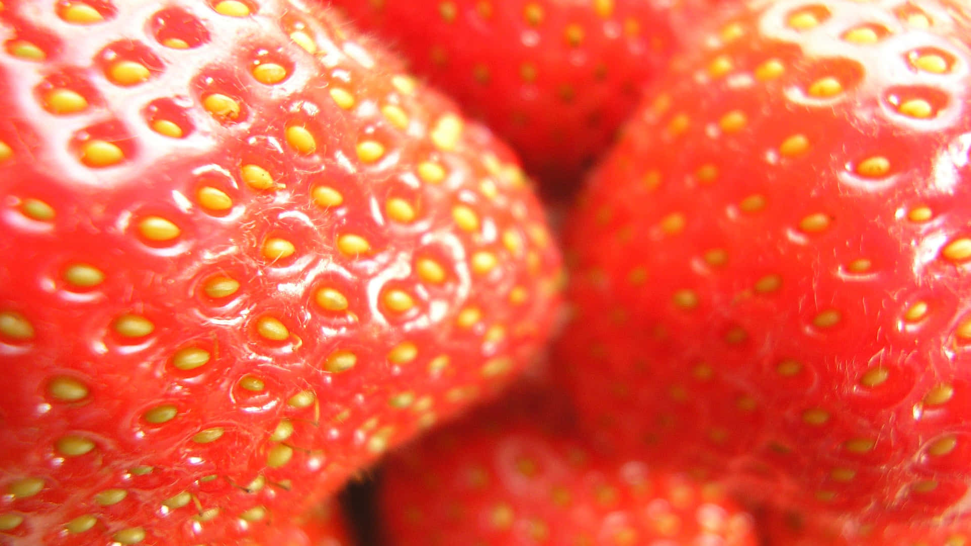 Strawberries-2 壁紙 — 飽滿成熟草莓的特寫，有光澤紅色表皮和黃色種子。