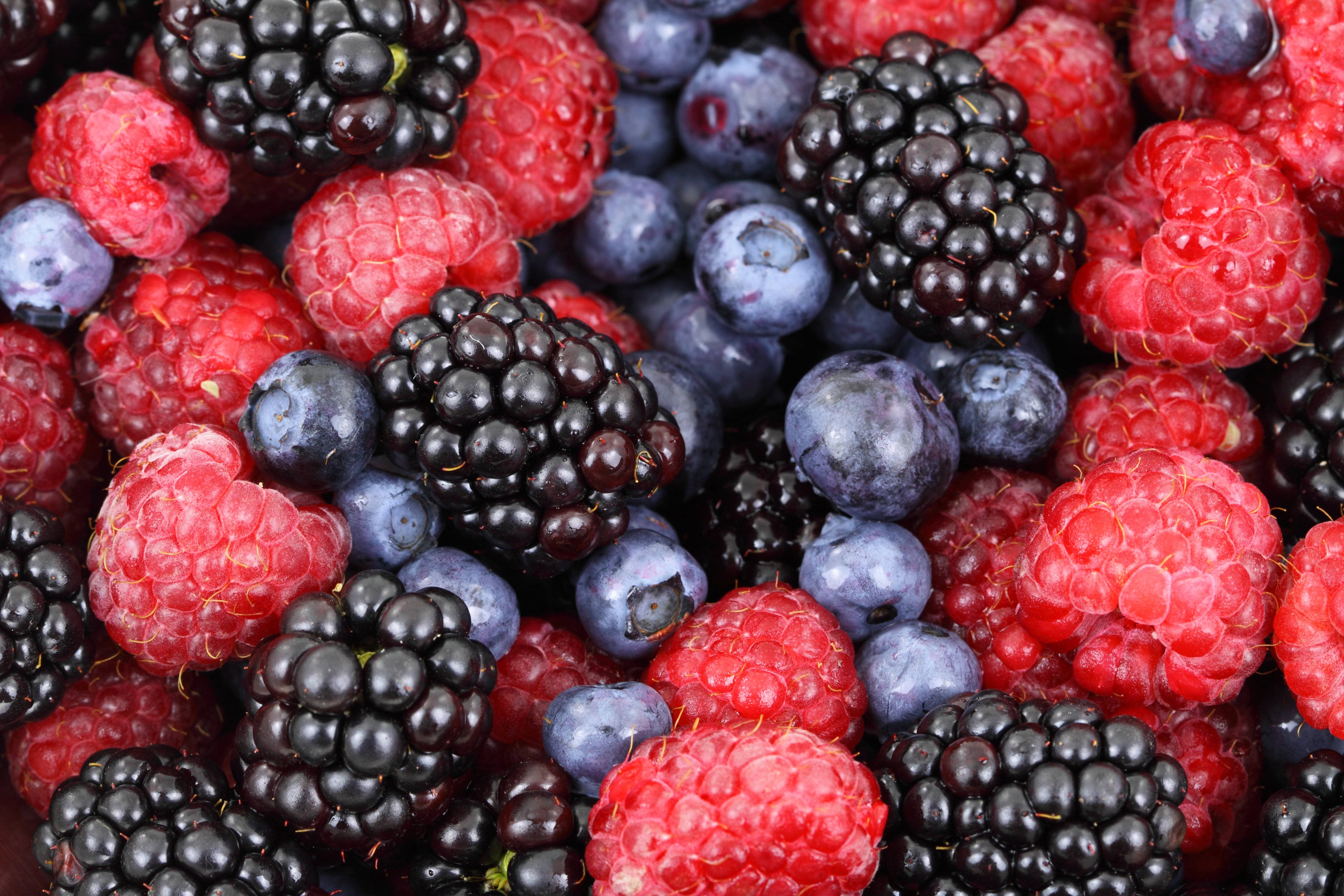 Berry 桌布 壁紙 — 飽滿的覆盆子、黑莓和藍莓的特寫，充滿了多汁的顏色和質感。