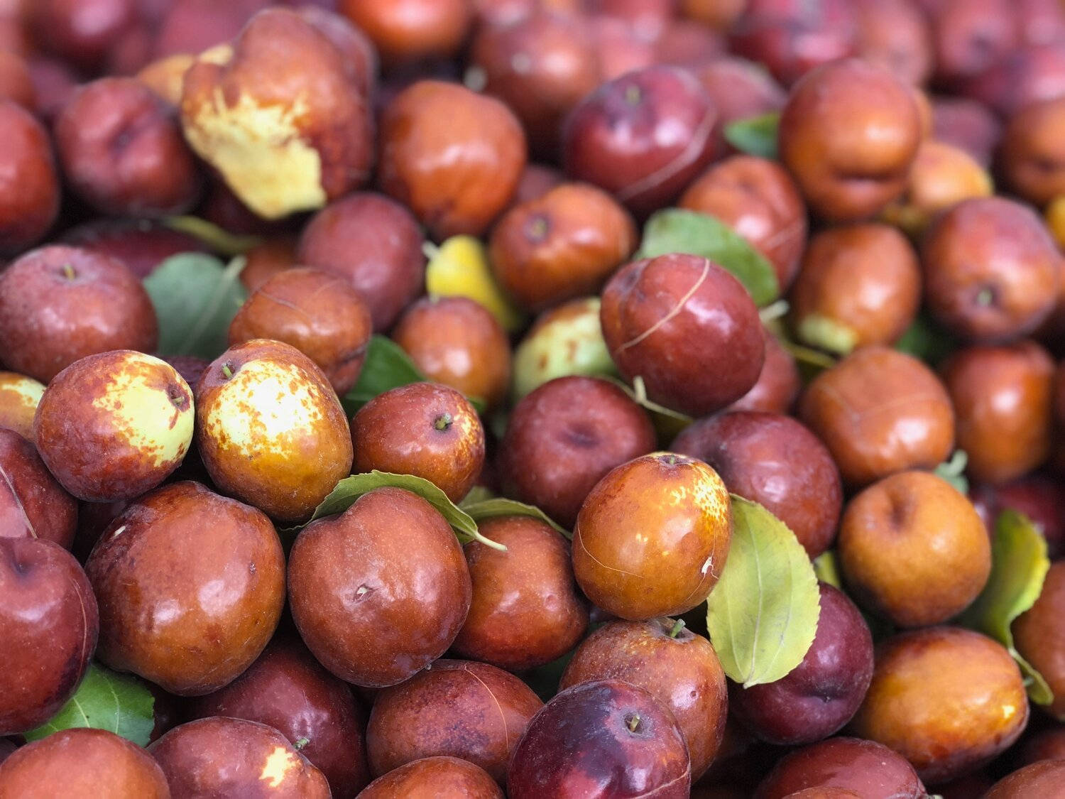 small 桌布 壁紙 — 飽滿紅褐色紅棗的特寫，其間散落著綠葉。