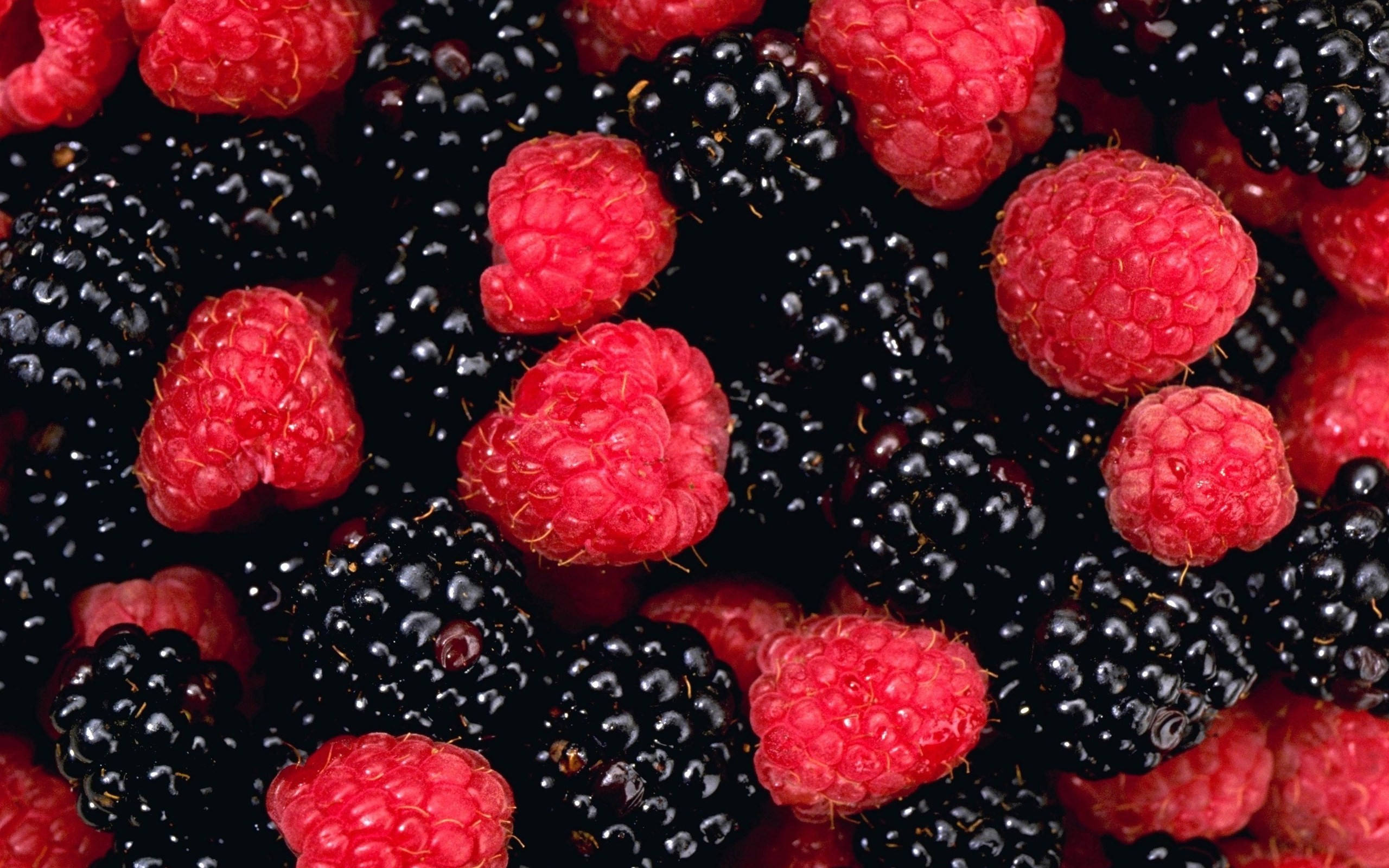 Berry 桌布 壁紙 — 飽滿紅覆盆子與光澤黑莓聚集在一起的鮮明近距離特寫。
