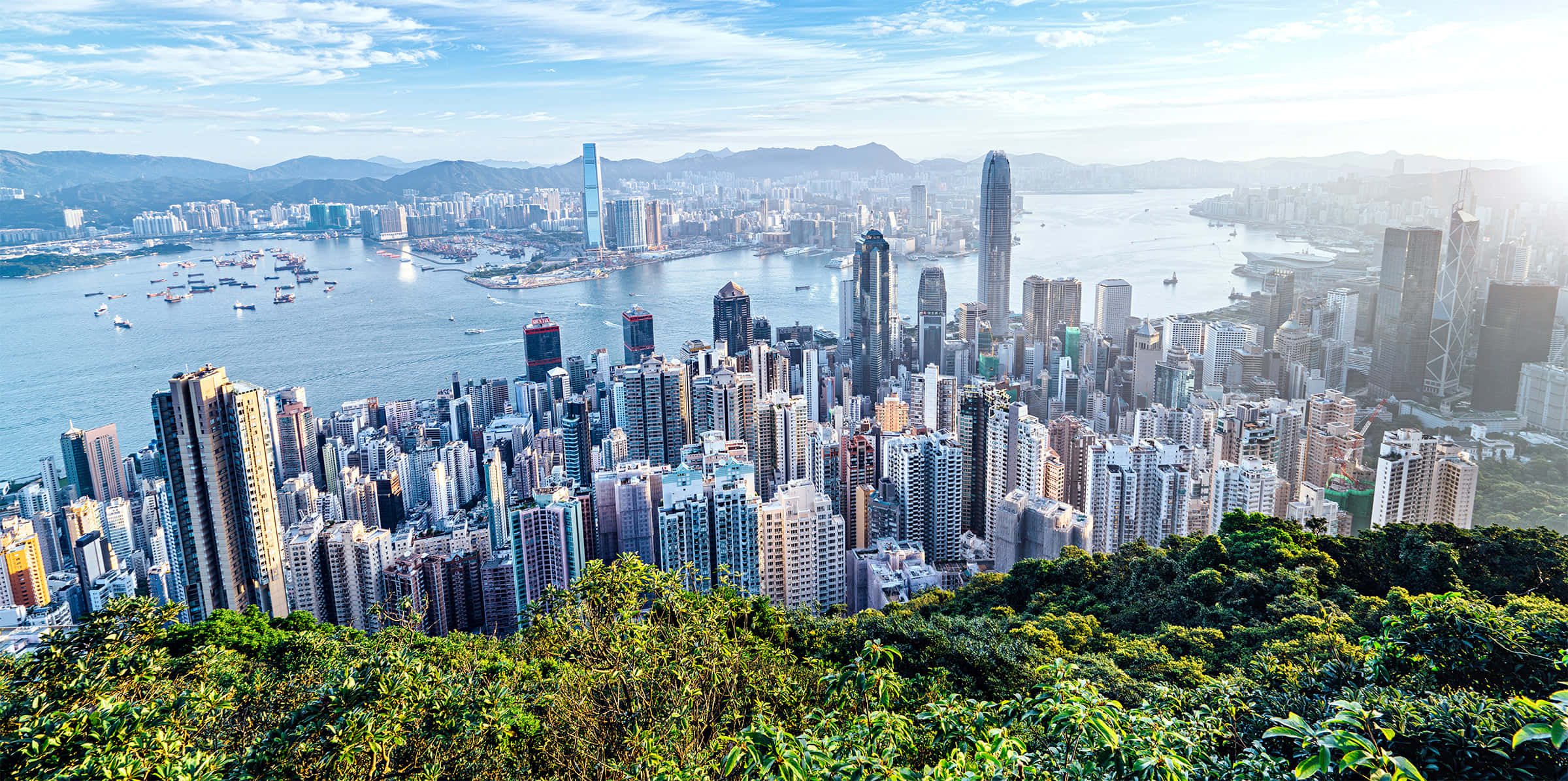 香港 桌布 壁紙 — 香港密集的天際線與港口的全景，沐浴在明亮的日光下，前景有茂密的綠色植物。