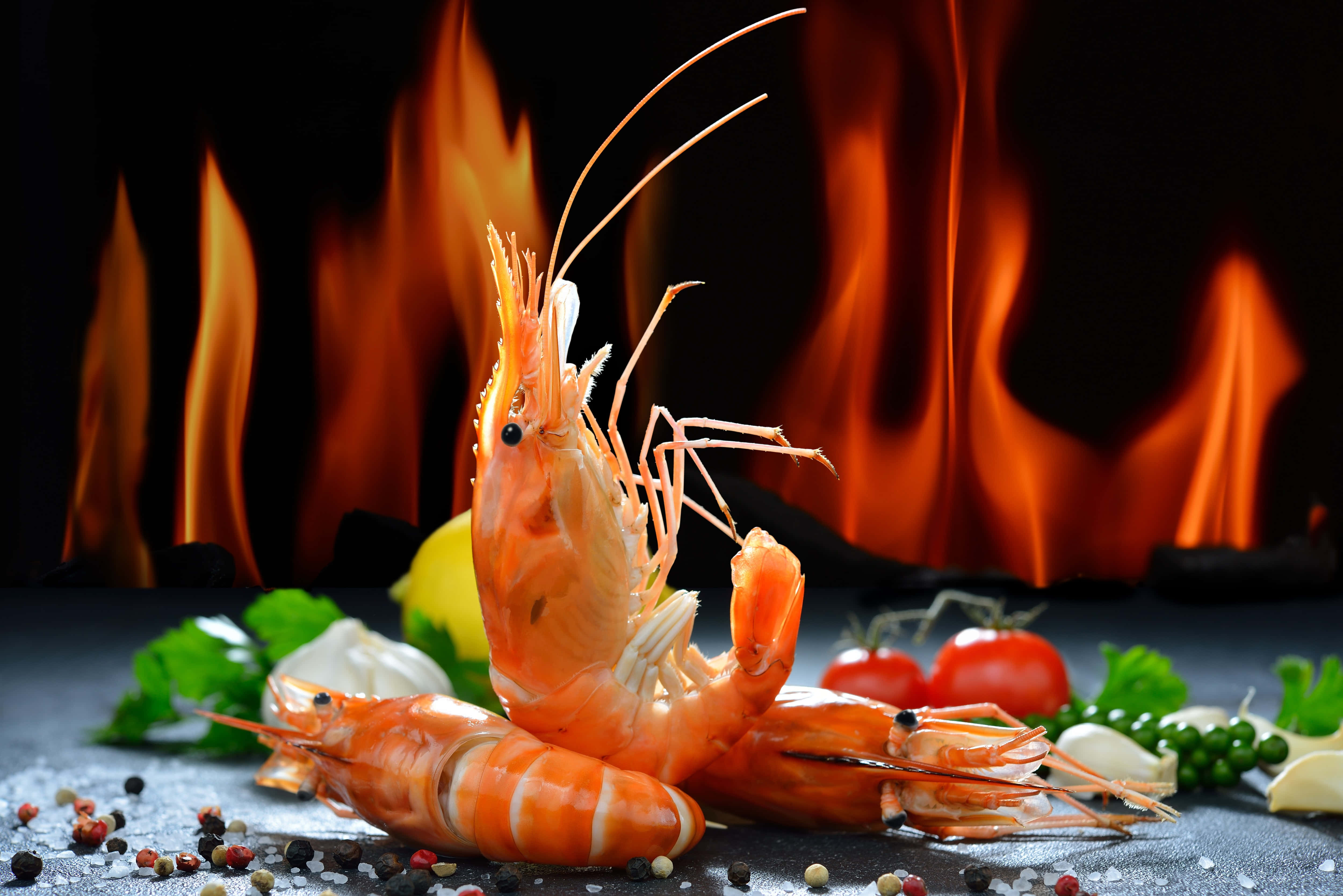 shrimp 桌布 壁紙 — 香脆熟蝦配上香草和香料，在黑暗背景下置於熊熊烈火前。