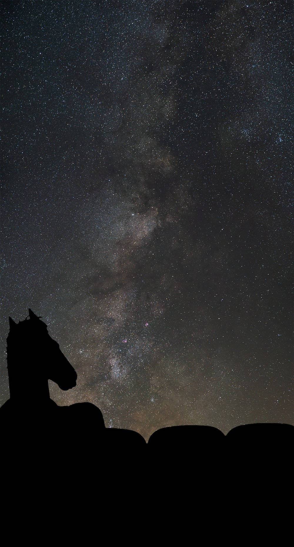 bojack 桌布 壁紙 — 馬的剪影仰望在繁星夜空閃爍的銀河系。