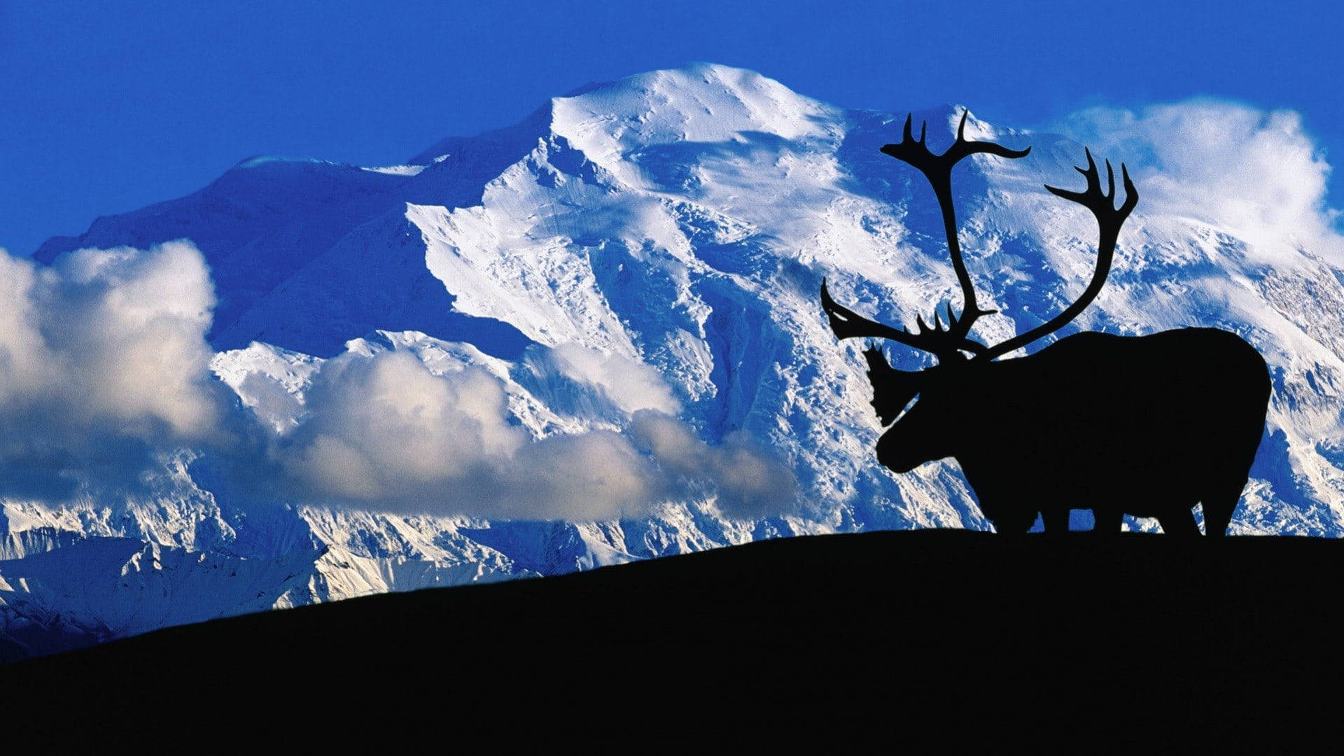 山景 桌布 壁紙 — 馴鹿的剪影站在山脊上，背景是晴朗藍天下高聳的雪山。