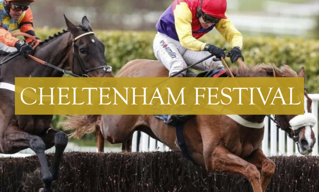 Cheltenham Festival 桌布 壁紙 — 騎師們身穿色彩繽紛的絲綢，在切爾滕納姆節期間俯身向前，他們的賽馬跳過籬笆。