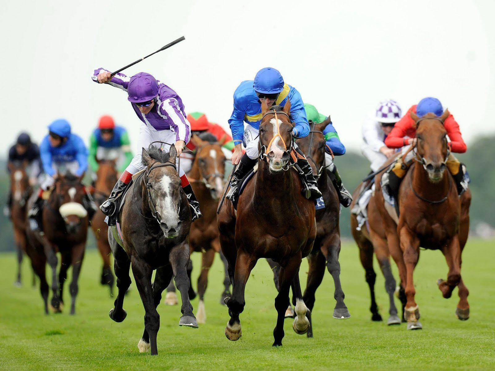 Horse Racing 桌布 壁紙 — 騎師們身穿色彩繽紛的絲綢賽衣，在陰天之下，駕馭奔騰的馬匹馳騁於充滿活力的綠色草地賽道上。