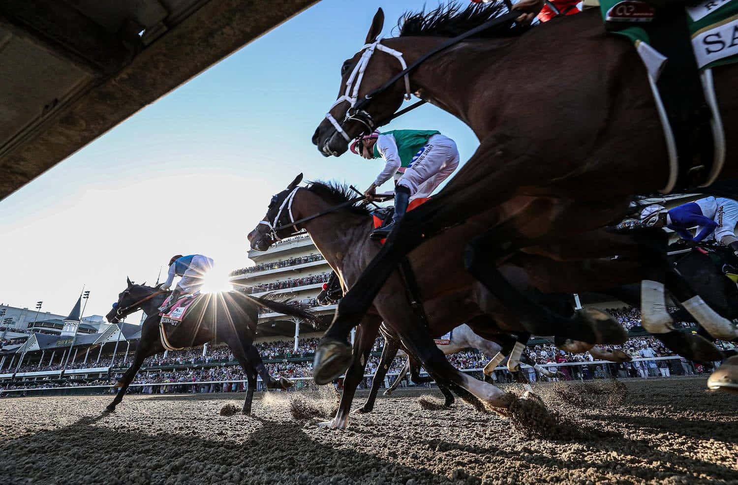 Kentucky Derby 桌布 壁紙 — 騎師在陽光照耀的泥地賽道上高速策騎純種馬，觀眾在看台上歡呼。