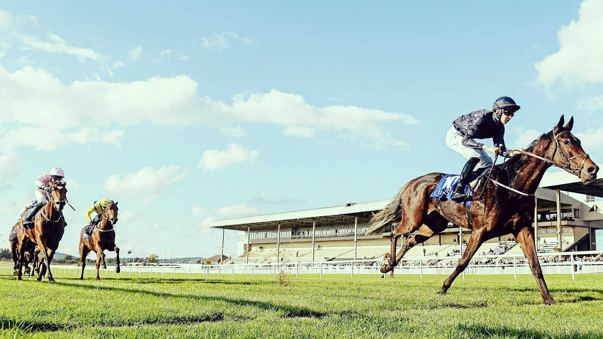 Horse Racing 桌布 壁紙 — 騎師在陽光照耀的草地上策騎純種馬競賽，背景有看台，天空湛藍明亮。