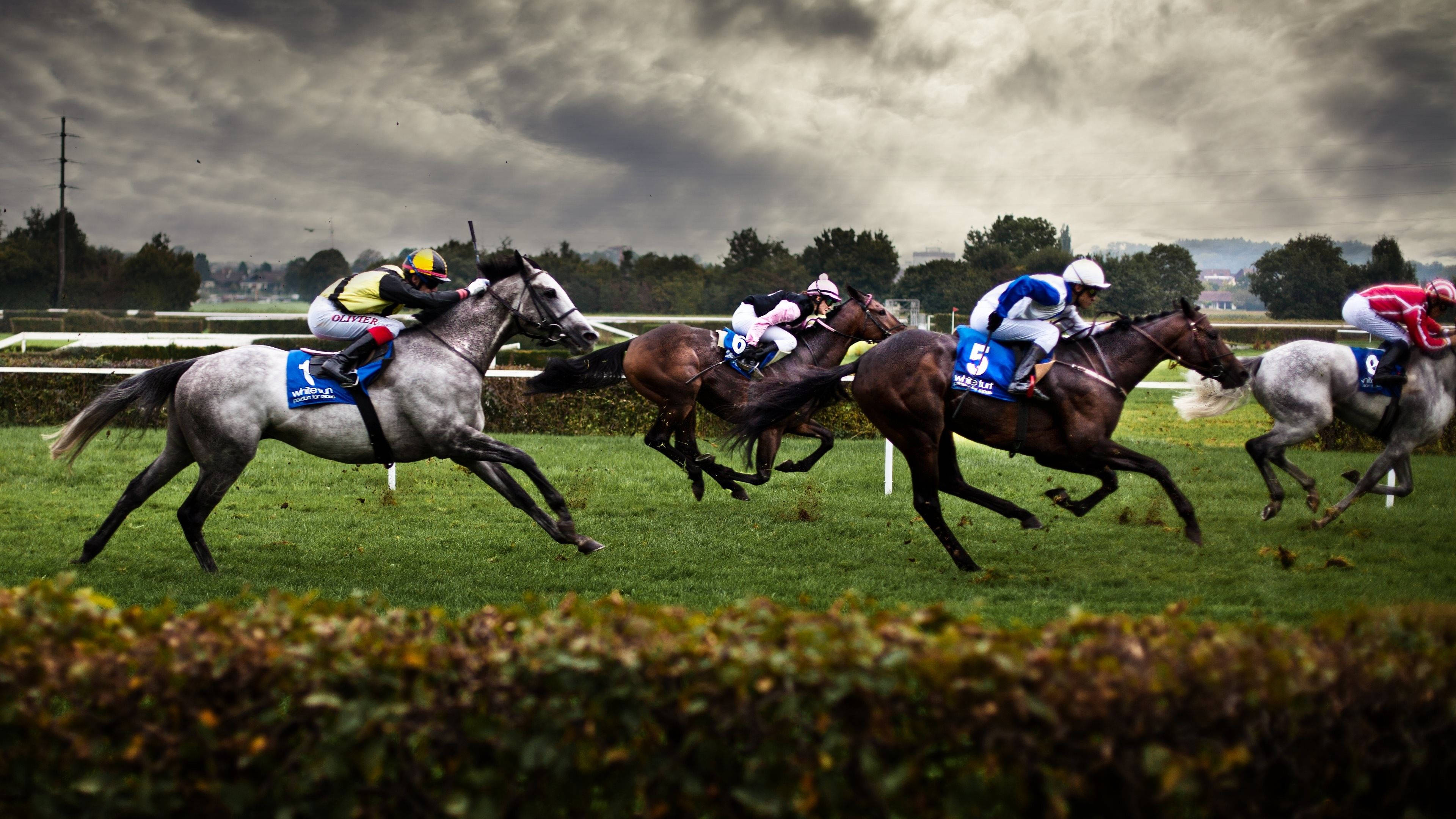 Horse Racing 桌布 壁紙 — 騎師穿著色彩繽紛的絲綢，騎著奔騰的馬匹，在戲劇性的多雲天空下，馳騁在翠綠的賽道上。