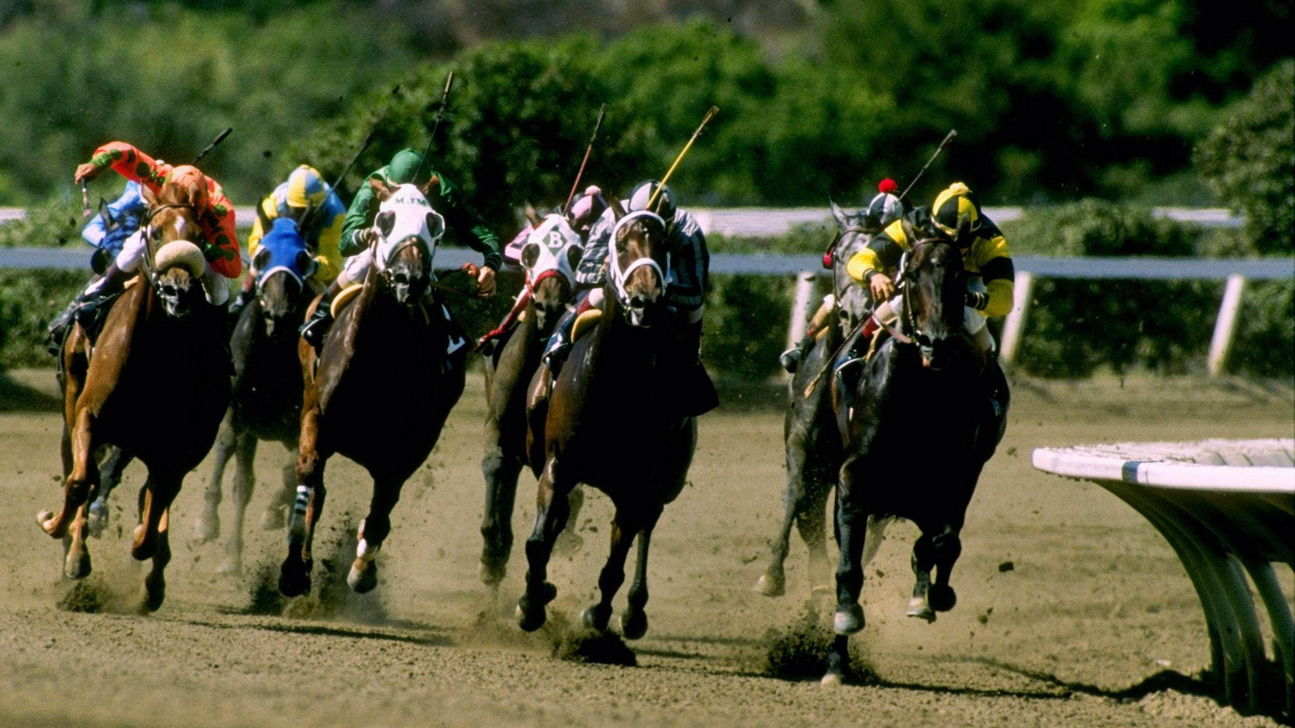 Horse Racing 桌布 壁紙 — 騎師穿著色彩繽紛的絲綢賽衣，在泥地賽道上策馬奔馳，背景是翠綠的樹葉。