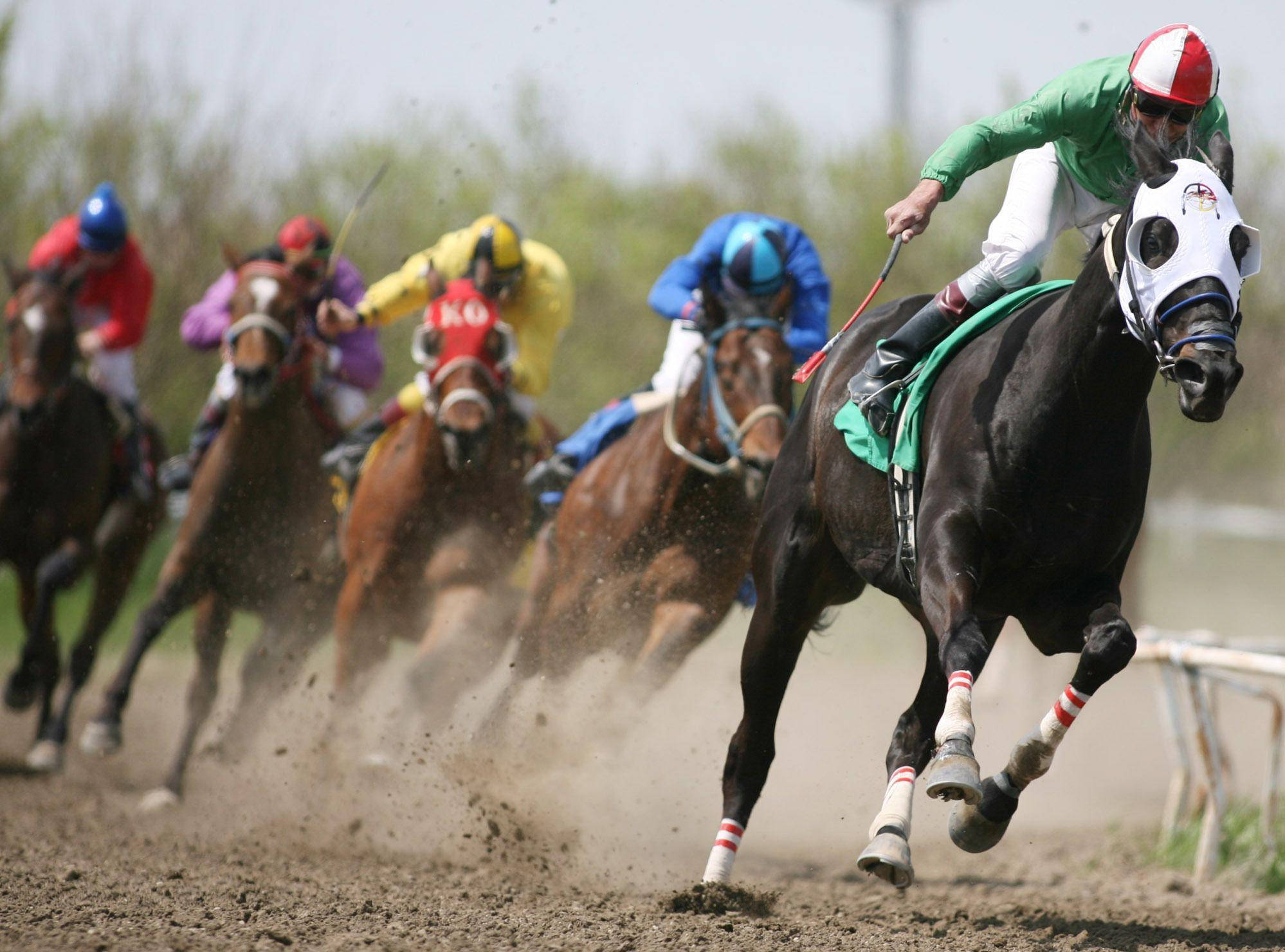 Horse Racing 桌布 壁紙 — 騎師穿著色彩繽紛的綵衣，騎著奔騰的馬匹在陽光普照的賽道上揚起塵土。