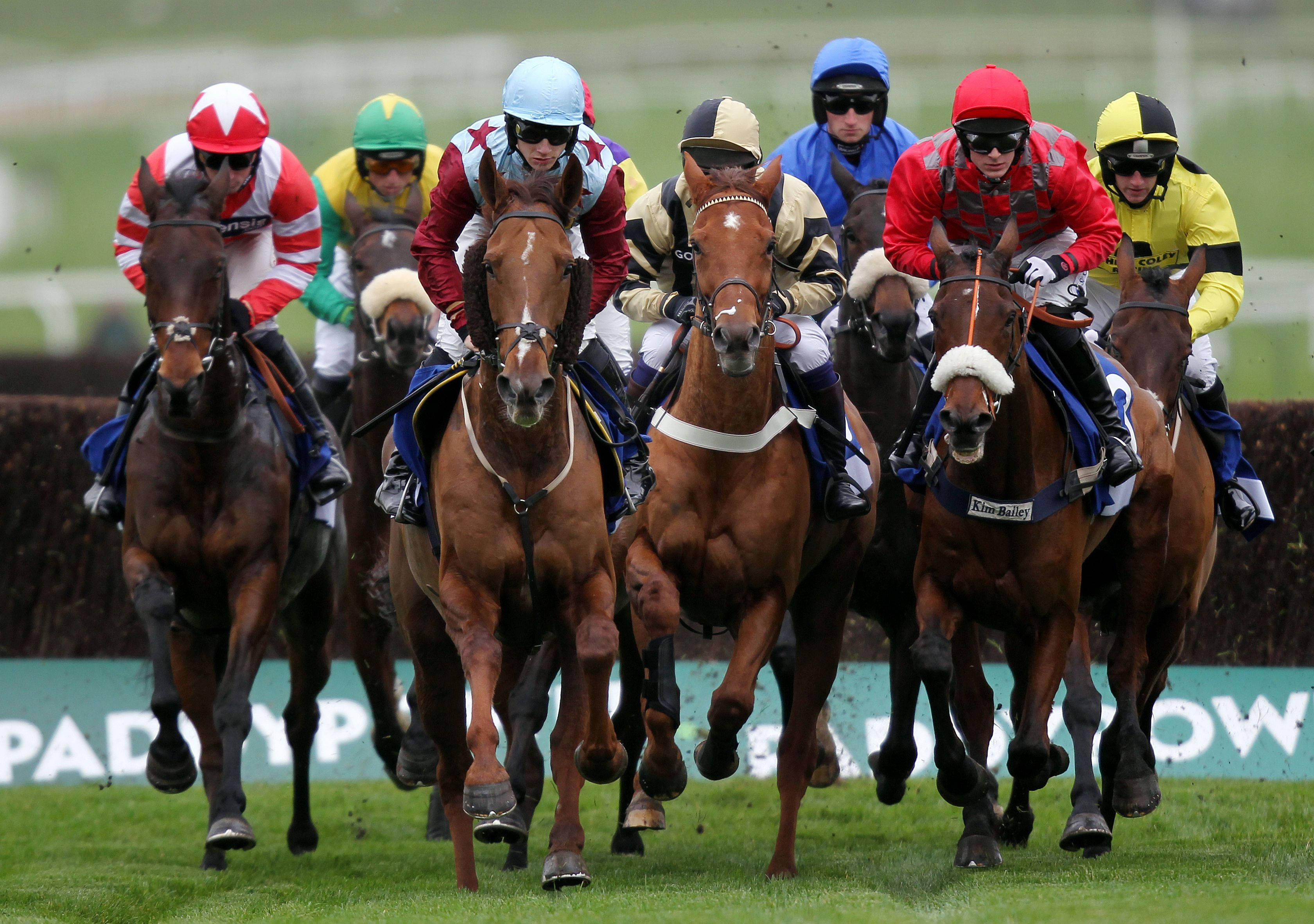 Horse Racing 桌布 壁紙 — 騎師身穿色彩繽紛的絲綢，在綠色草地上策馬奔馳，動作模糊，泥土飛揚。