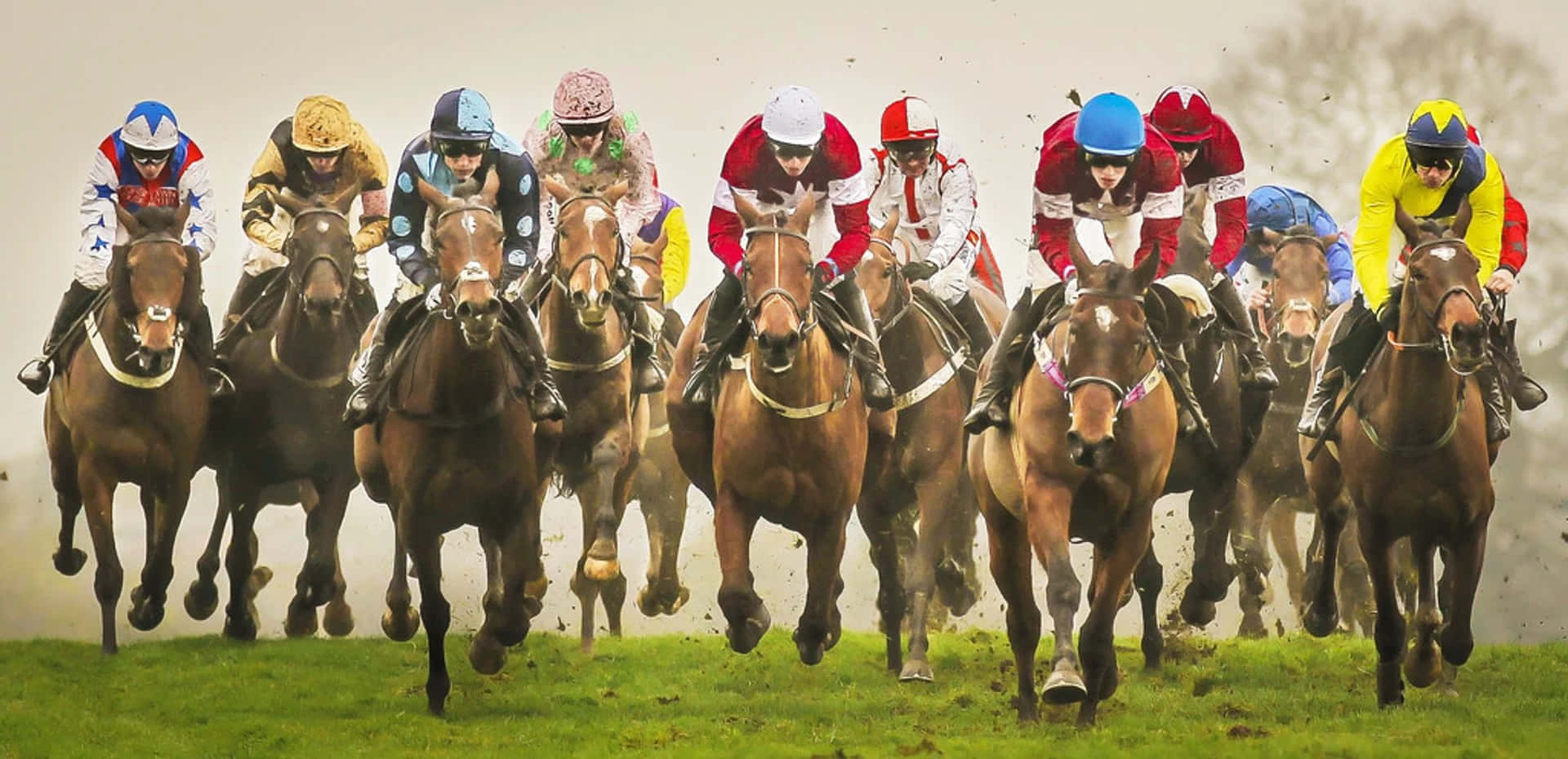 Cheltenham Festival 桌布 壁紙 — 騎師身穿色彩繽紛的絲綢，在草地上策馬奔馳，揚起塵土，上演一場驚心動魄的賽馬。