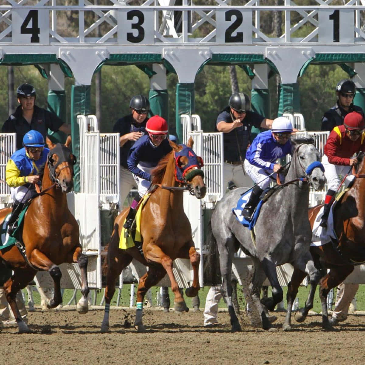 Kentucky Derby 桌布 壁紙 — 騎師身穿色彩繽紛的絲綢賽衣，在陽光照耀的泥地賽道上從閘門衝出，催促馬匹向前奔馳。