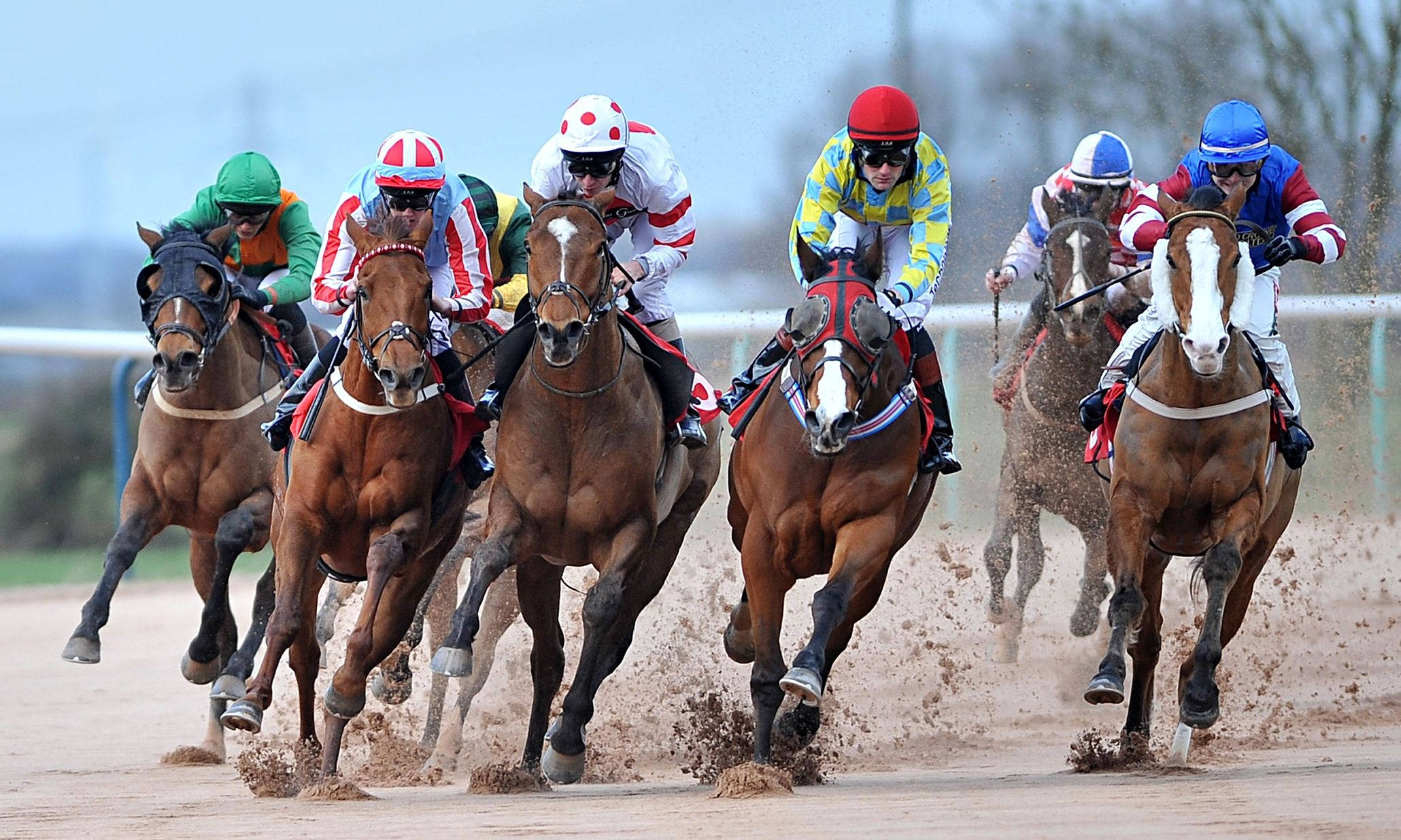 Horse Racing 桌布 壁紙 — 騎師身穿色彩繽紛的絲綢賽衣，在陽光普照的賽道上策馬奔馳，馬蹄揚起泥土。