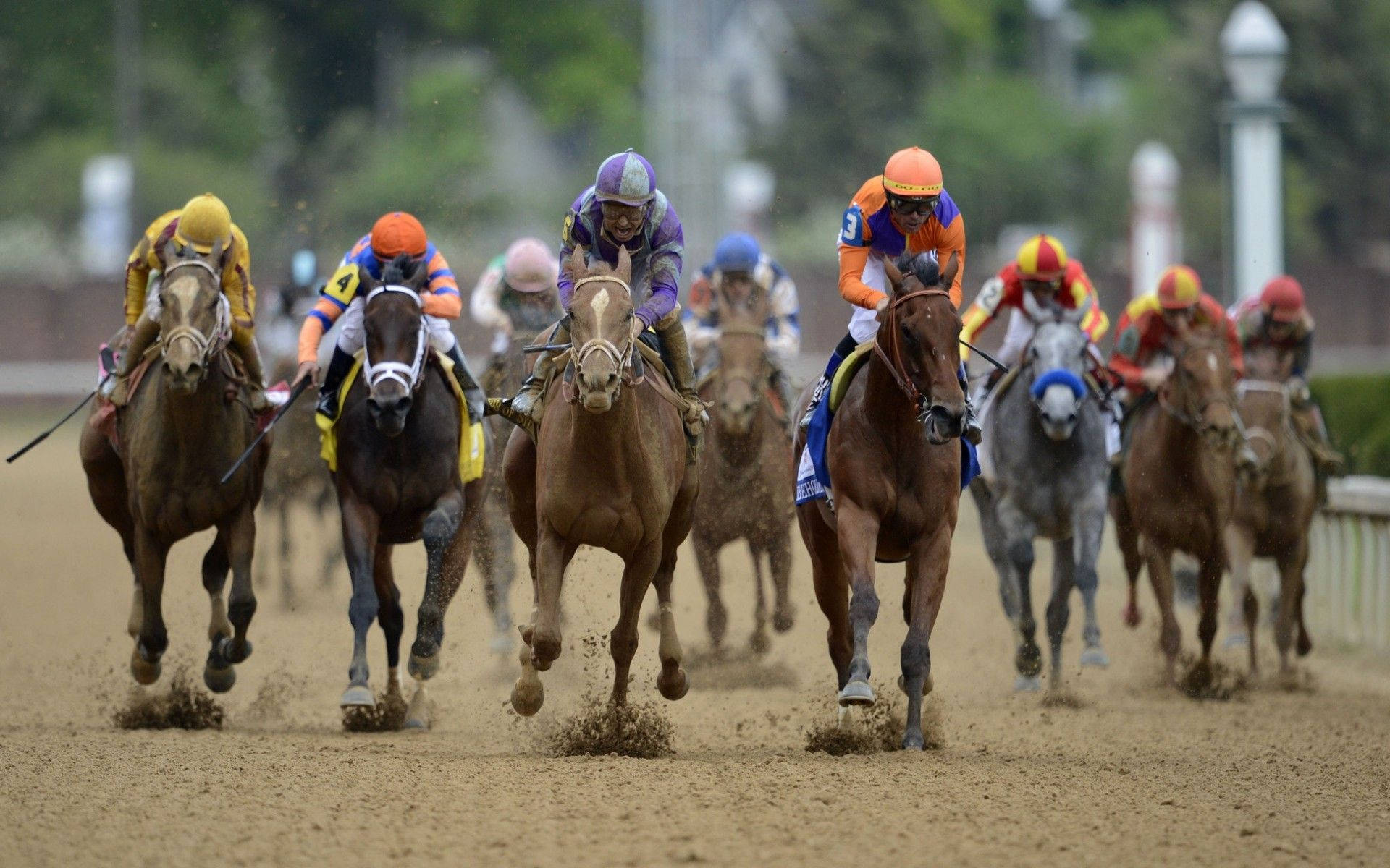 Horse Racing 桌布 壁紙 — 騎師身穿色彩繽紛的賽馬服，在泥地賽道上策騎奔騰的純種馬，揚起塵土，進行一場刺激的賽馬。