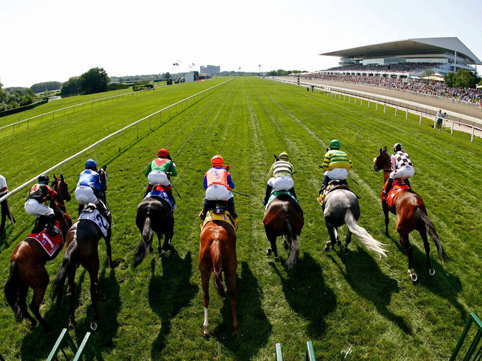 Horse Racing 桌布 壁紙 — 騎師騎著色彩鮮豔的馬匹在陽光照耀的草地賽道上奔馳，遠處的看台擠滿了觀眾。