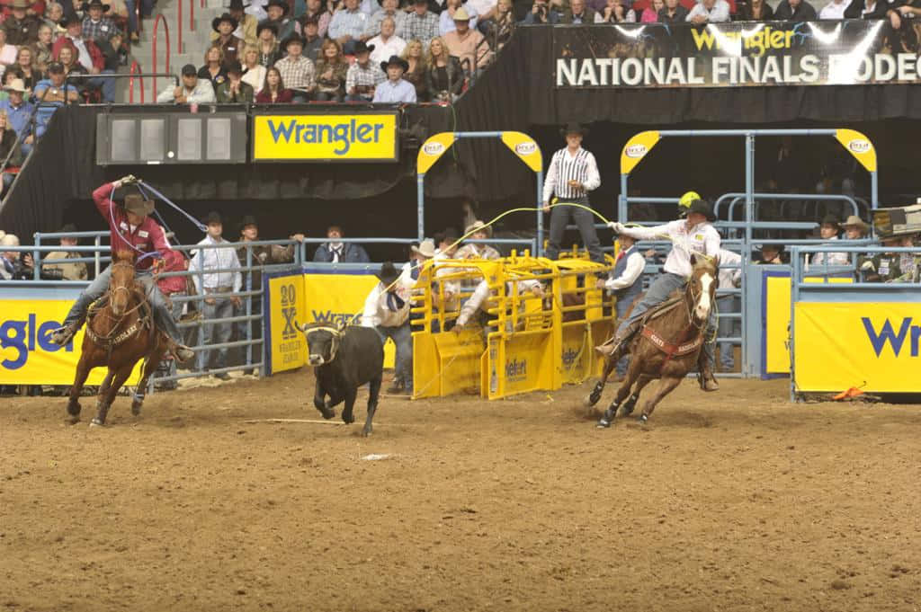  壁紙 — 騎手騎著馬在Wrangler National Finals Rodeo的泥土競技場中追逐一頭黑牛，觀眾在觀看。