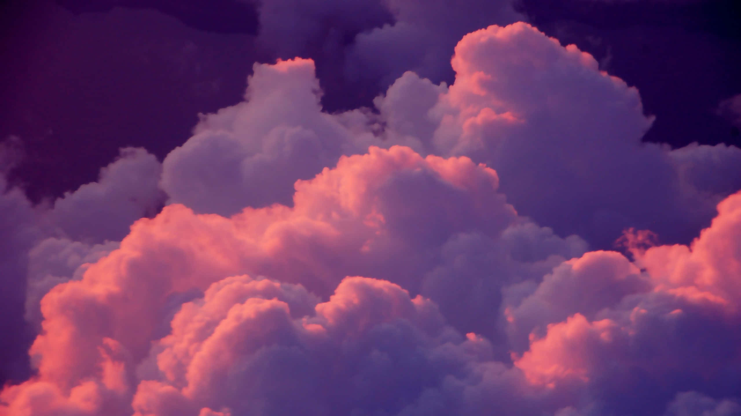2560x1440 動態圖片 桌布 壁紙 — 體積龐大的雲朵在黑暗的暮色天空中散發出火熱的粉紅色和深紫色色調。