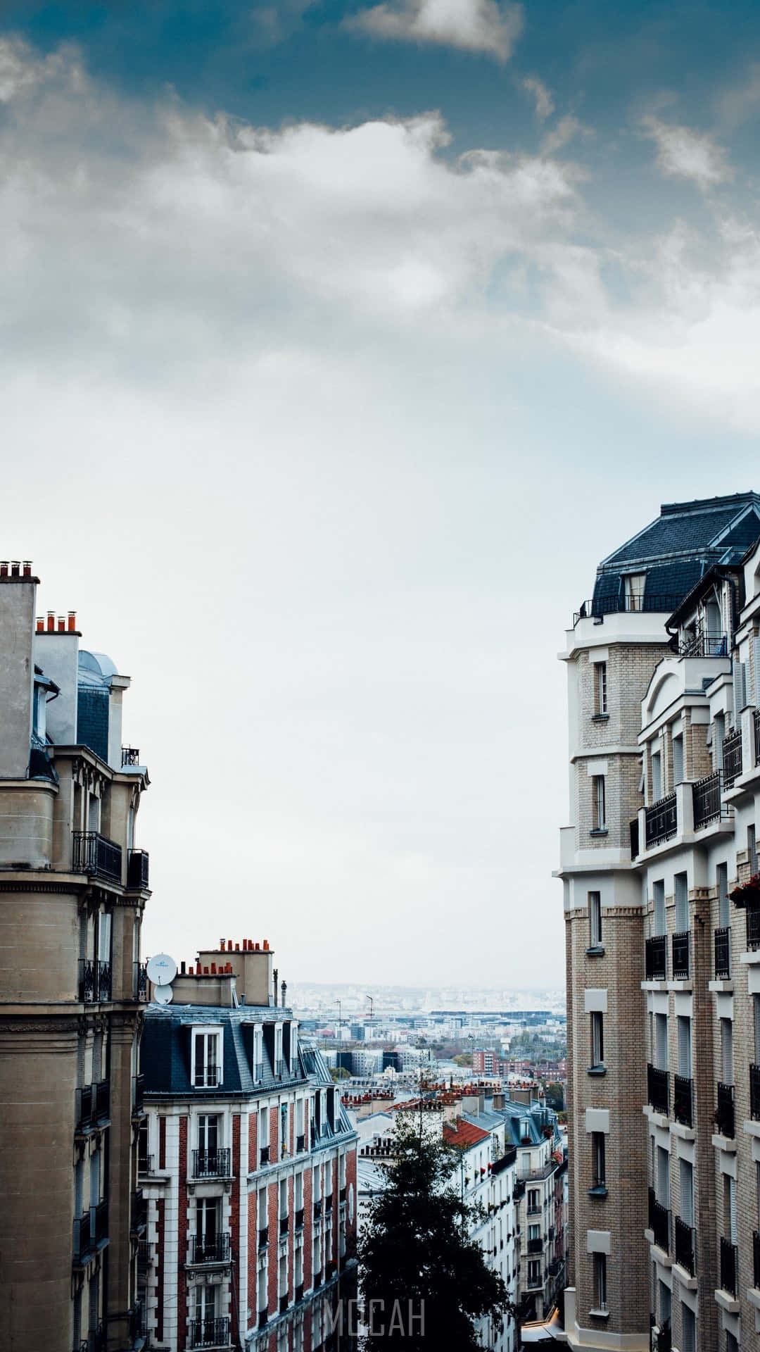 Clouds Aesthetic Tumblr 桌布 壁紙 — 高大的巴黎建築框住多雲的天空，俯瞰遠處的城市景觀，包括屋頂和一棵孤樹。