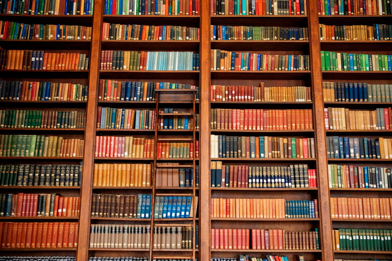  壁紙 — 高大的木書架上擺滿色彩繽紛的復古書籍，營造出溫暖的學術氛圍。
