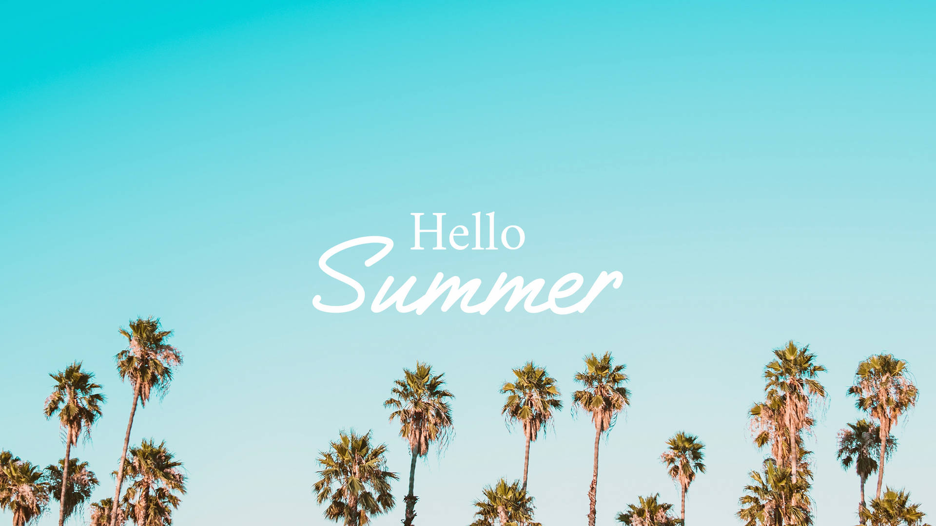 棕櫚樹襯著清澈的藍天，帶有文字Hello Summer。 — 夏季 GIF 壁紙