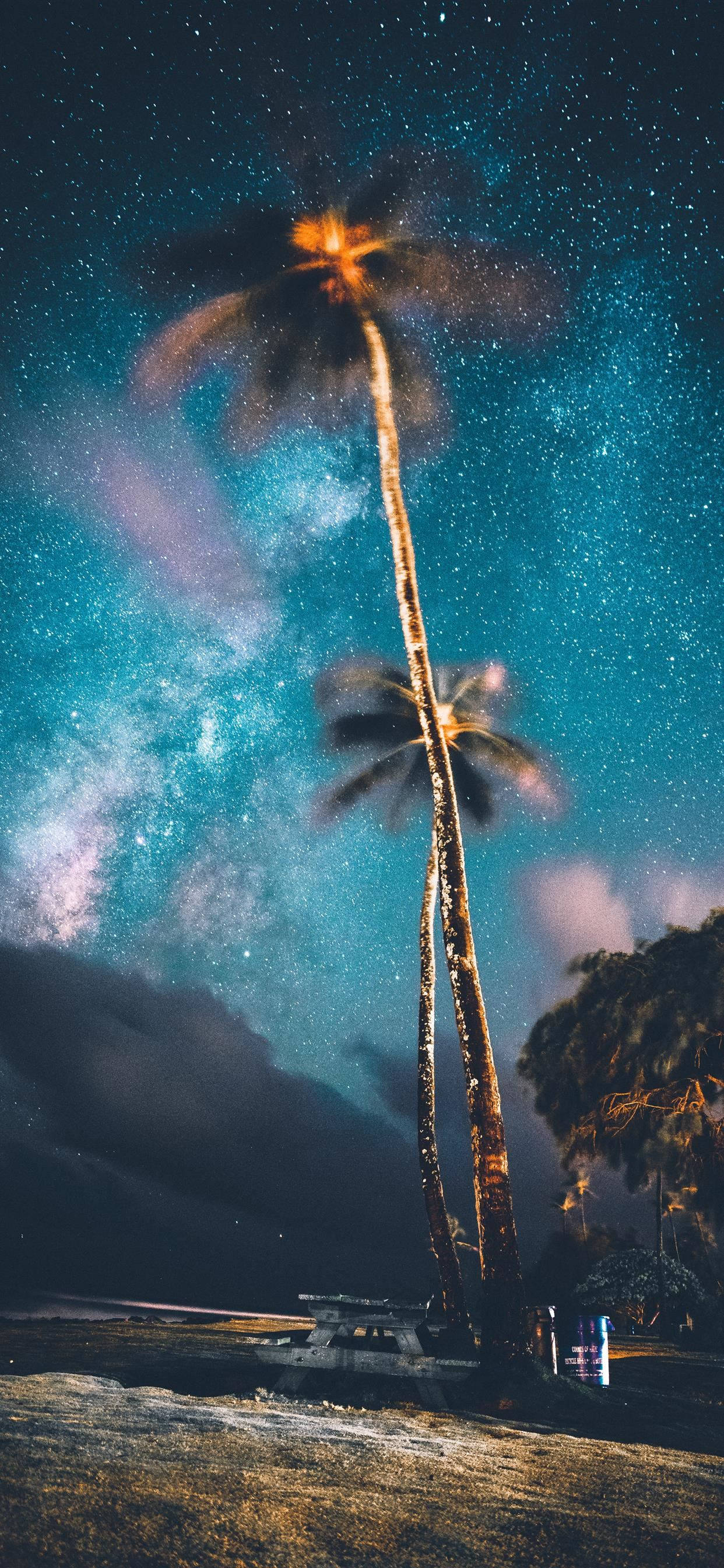 電腦 桌布 壁紙 — 高大的棕櫚樹在充滿活力的星空下搖曳，銀河在黑暗的景觀上方閃耀。