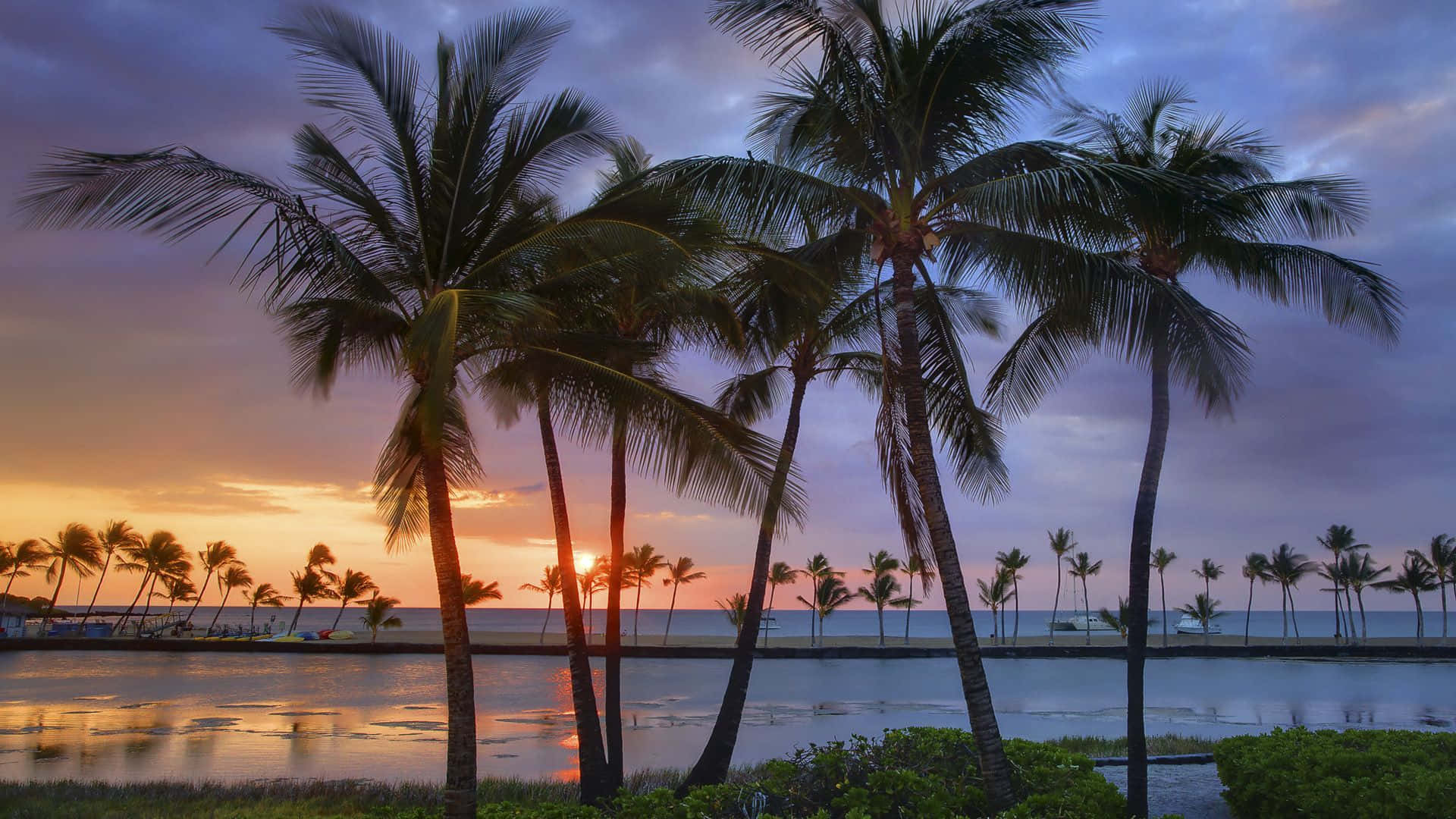 Aesthetic Hawaii 桌布 壁紙 — 高大的棕櫚樹在平靜海面上映照著充滿活力的日落天空搖曳。