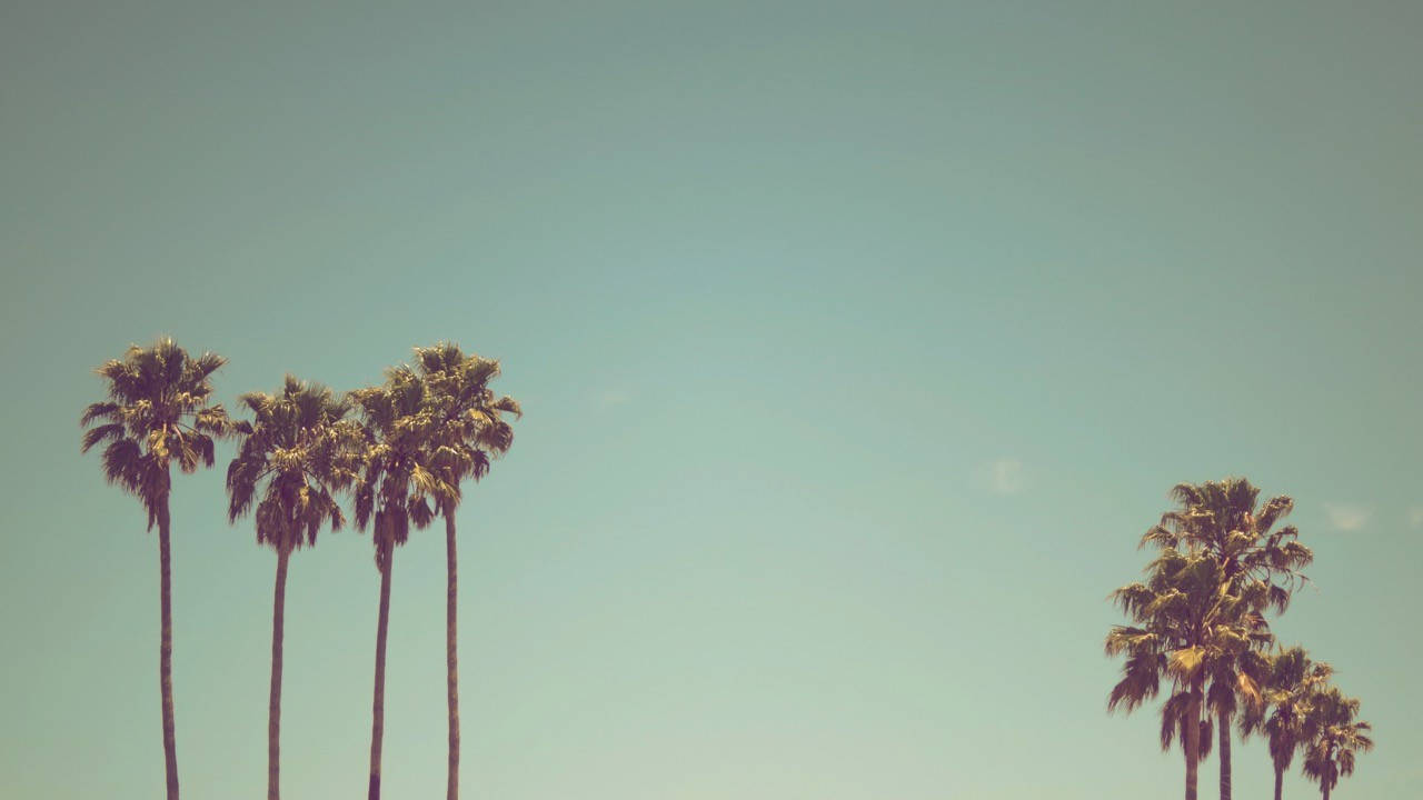 California Aesthetic 桌布 壁紙 — 高大的棕櫚樹在極簡熱帶場景中，襯著清澈的藍綠色天空。