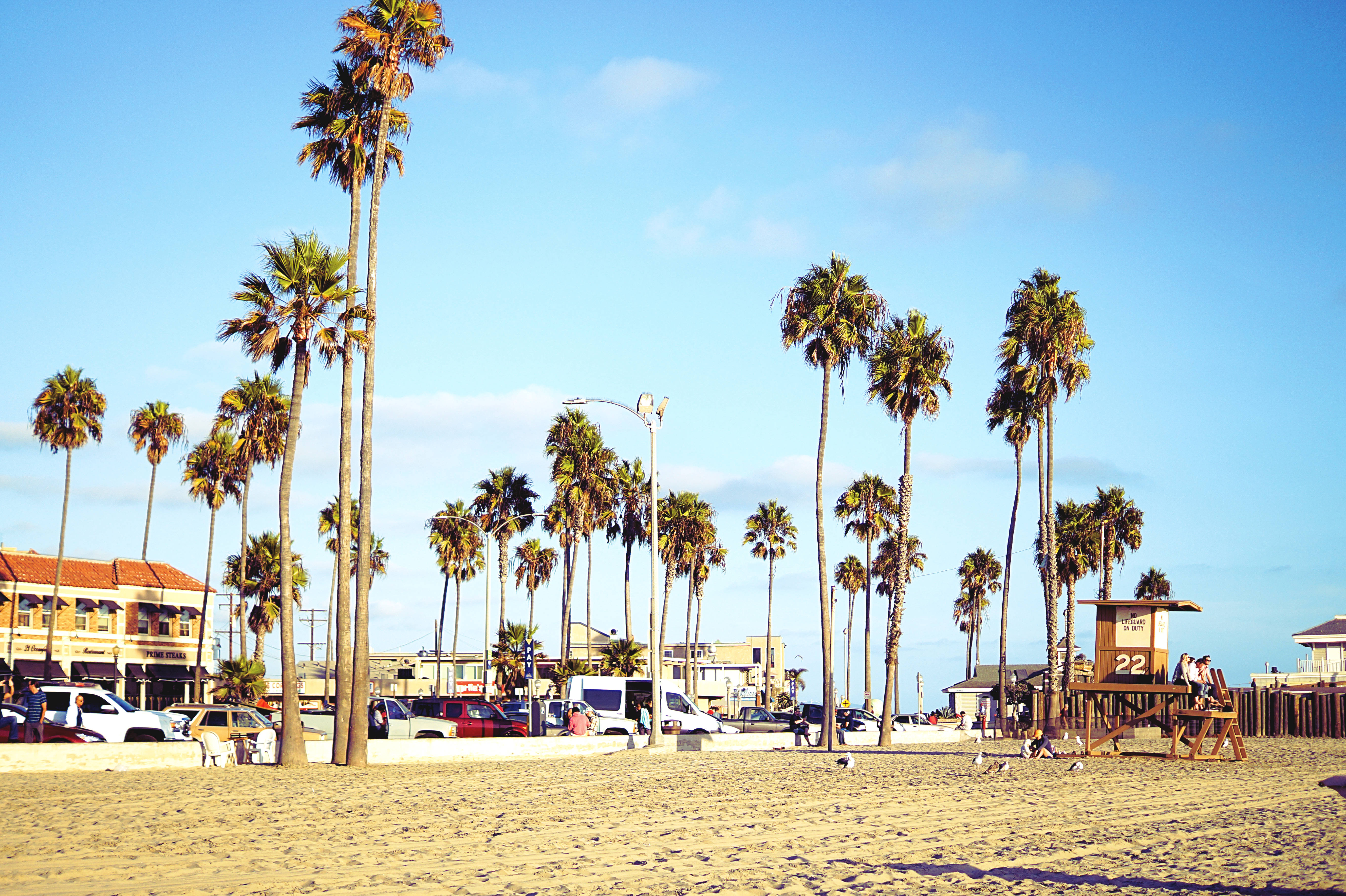 Palm Trees Beach 桌布 壁紙 — 高大的棕櫚樹在陽光明媚的海濱小鎮中搖曳，沙灘遊客和救生塔在清澈的藍天下。