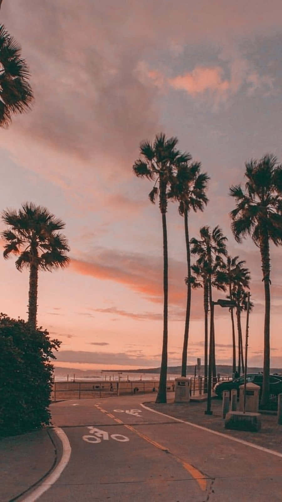 California Aesthetic 桌布 壁紙 — 高大的棕櫚樹排列在沿海自行車道旁，天空呈現柔和的粉紅色和橙色日落景觀。