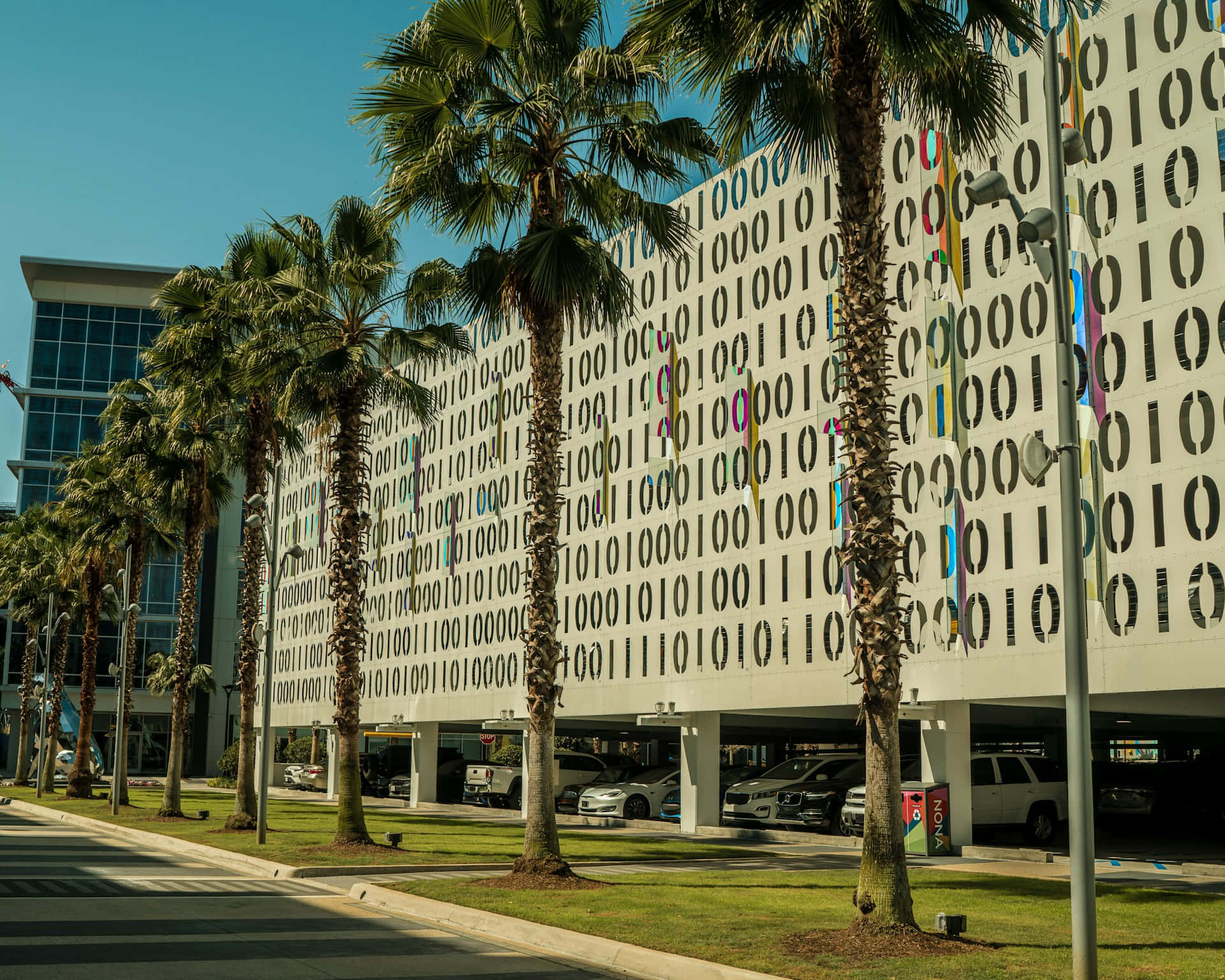 Orlando 桌布 壁紙 — 高大的棕櫚樹排列在現代建築外牆兩旁，外牆覆蓋著二進制代碼圖案，背景是清澈的藍天。