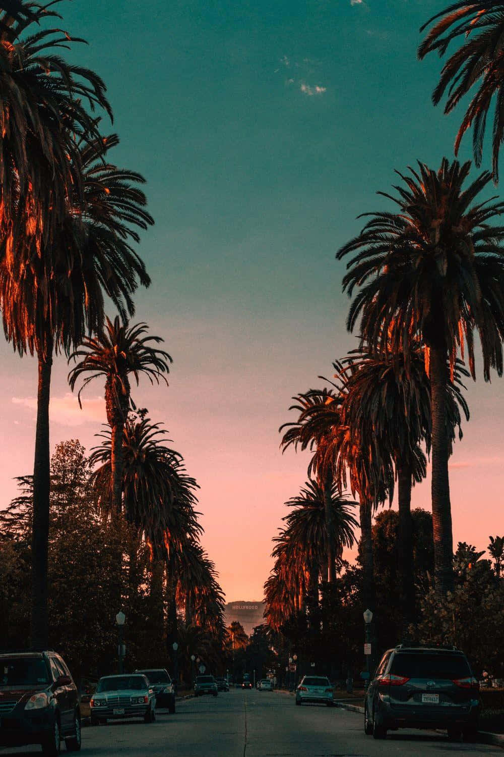 加州 桌布 壁紙 — 高大的棕櫚樹排列在街道兩旁，溫暖的夕陽將天空染成粉紅色和藍綠色調。