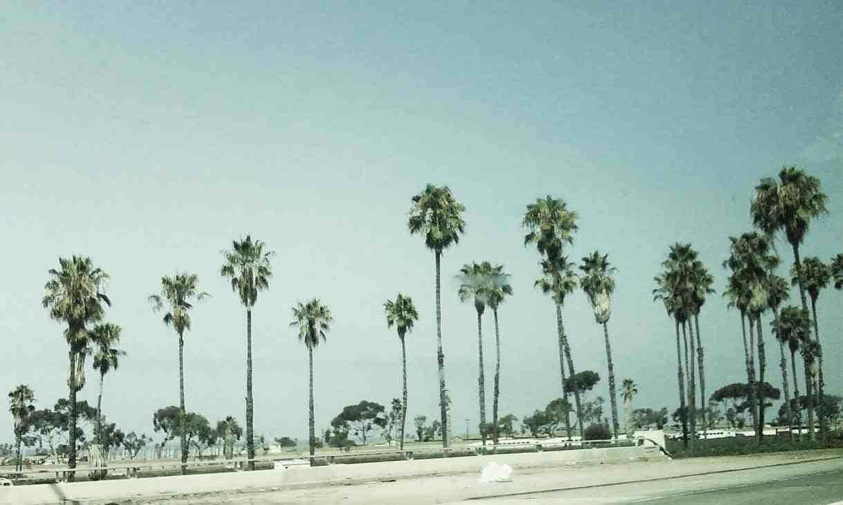 Tumblr California Desktop 桌布 壁紙 — 高大的棕櫚樹排列在路邊，天空呈現淡藍色，帶有柔和復古色調。