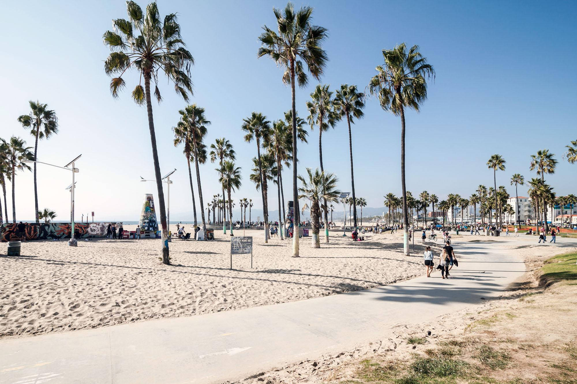 Venice Beach 桌布 壁紙 — 高大的棕櫚樹排列在陽光普照的海濱小徑上，人們在晴朗的藍天下漫步。
