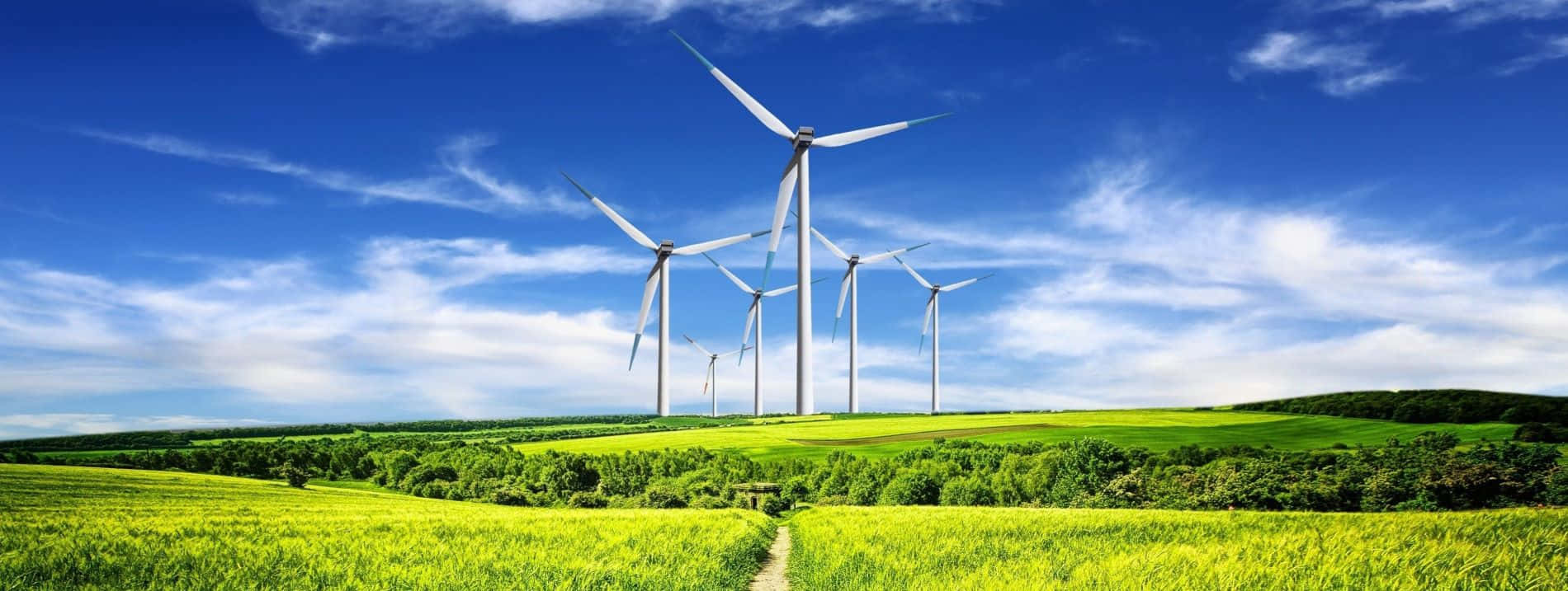 Renewable Energy 桌布 壁紙 — 高大的白色風力渦輪機矗立在充滿活力的綠色田野中，上方是帶有縷縷白雲的明亮藍天。