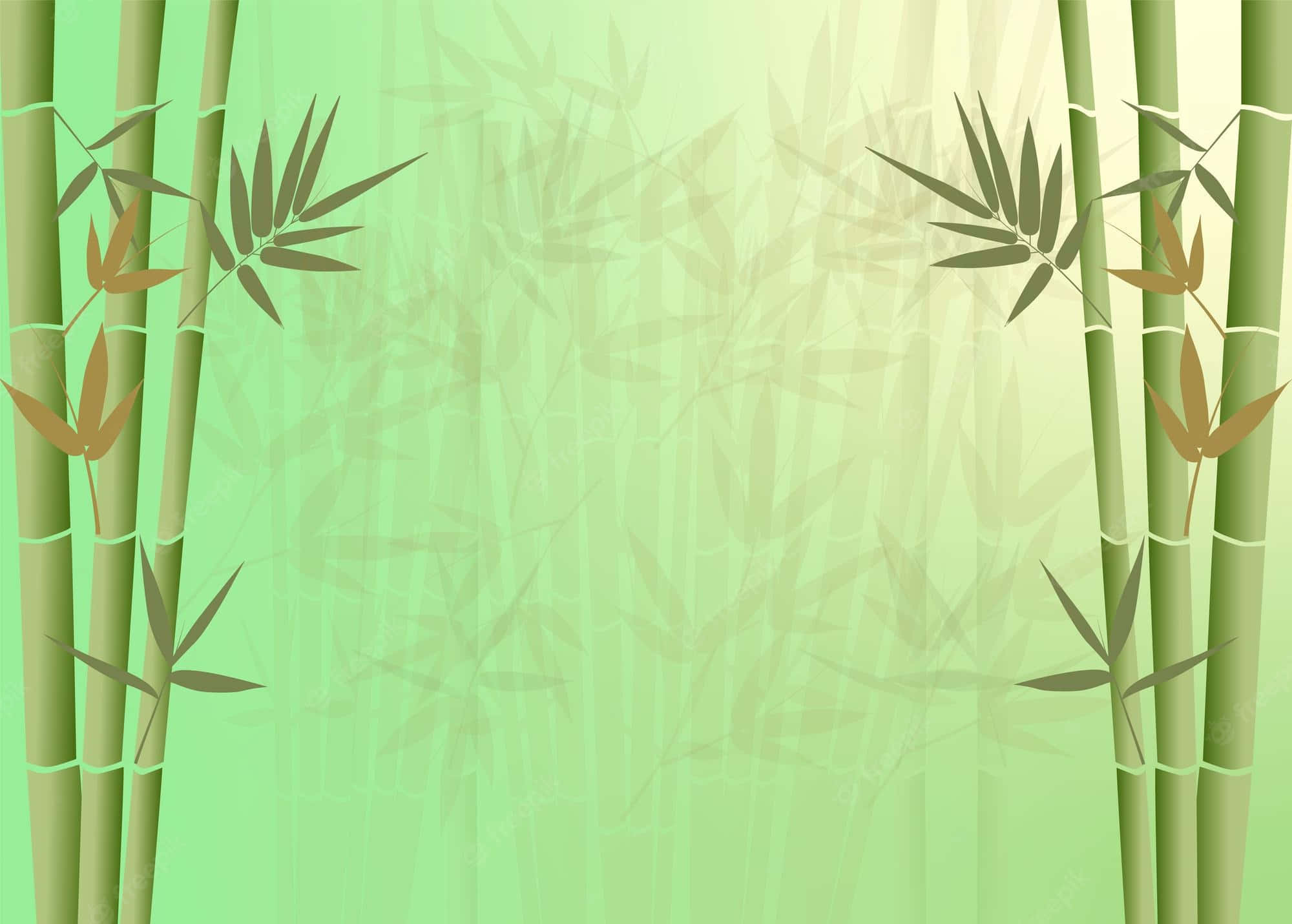 藝術 桌布 壁紙 — 高大的竹莖和綠葉在寧靜的森林場景中框出柔和的漸變背景。