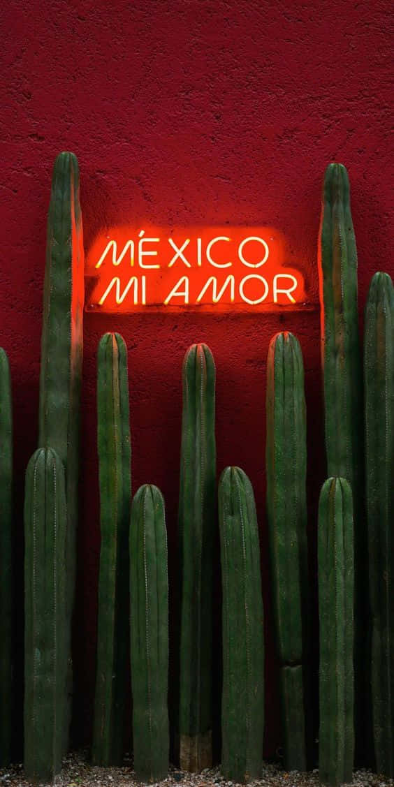 Hispanic 桌布 壁紙 — 高大的綠色仙人掌襯托著一個發光的紅色霓虹燈牌，上面寫著Mexico Mi Amor，背景是質感豐富的深紅色牆壁。