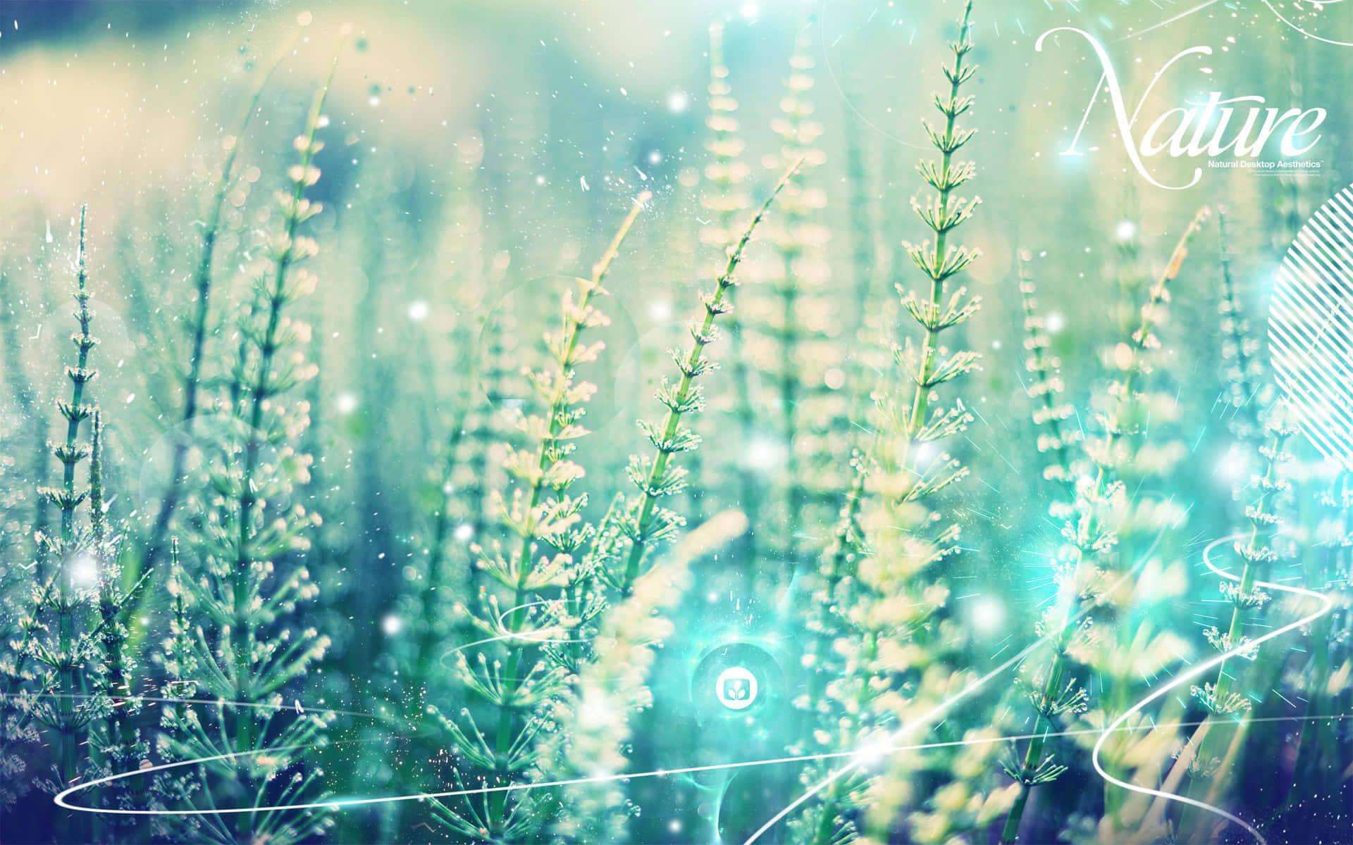 柔和美學 桌布 壁紙 — 高大的綠色植物在夢幻迷霧的田野中散發著空靈的光芒和閃爍的粒子。