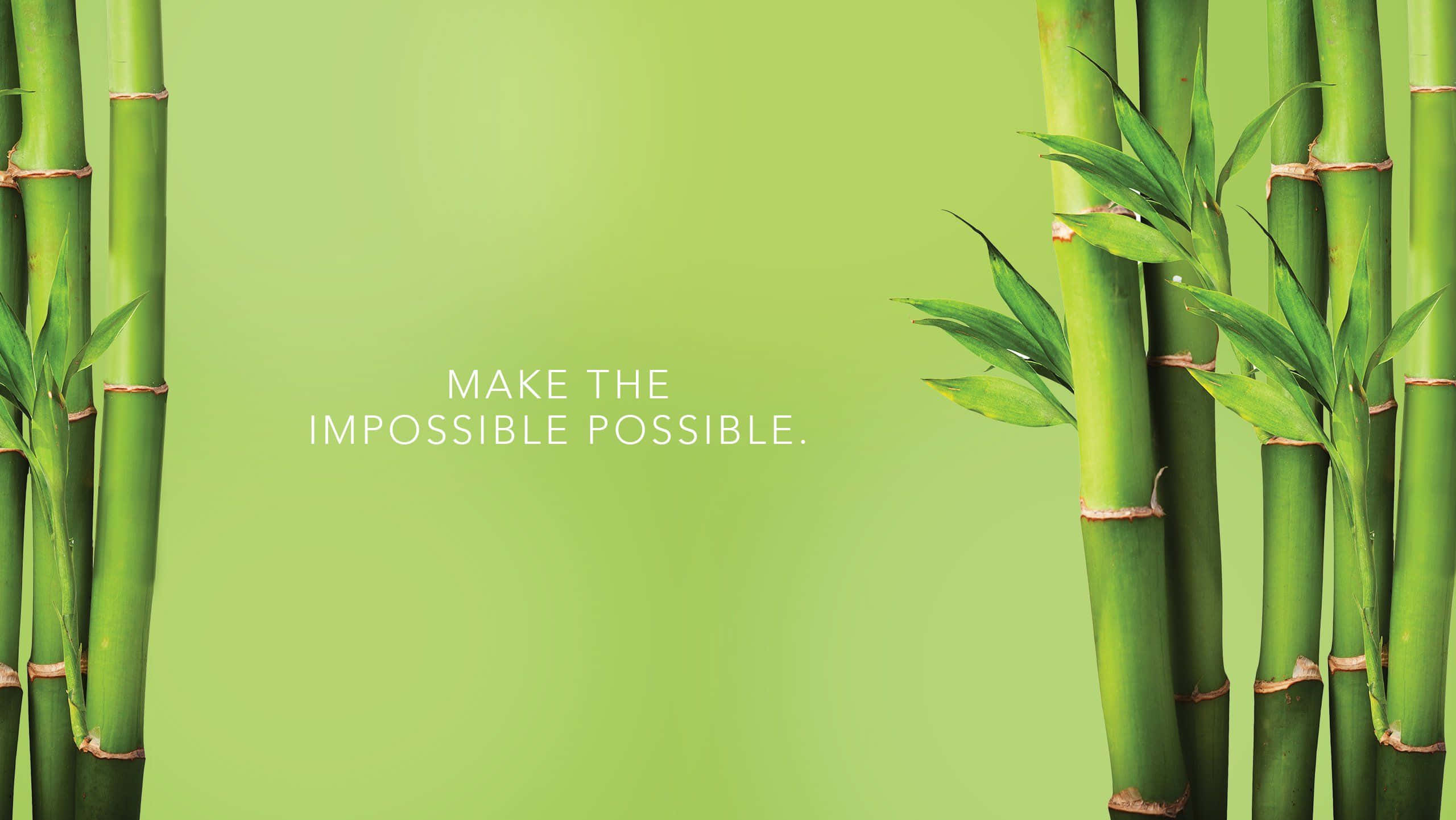 Bamboo 桌布 壁紙 — 高大的綠色竹莖框出柔和的漸變背景，上面寫著讓不可能變為可能。