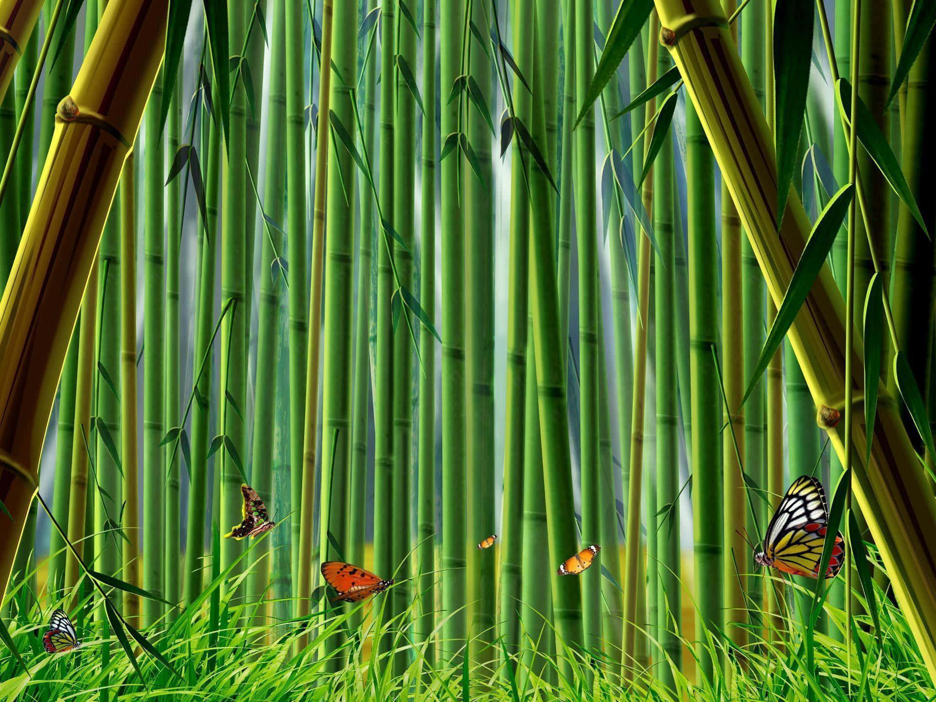 Bamboo Desktop 桌布 壁紙 — 高大的綠色竹莖穿過充滿活力的草地，色彩繽紛的蝴蝶在陽光普照的森林空地中優雅地飛舞。