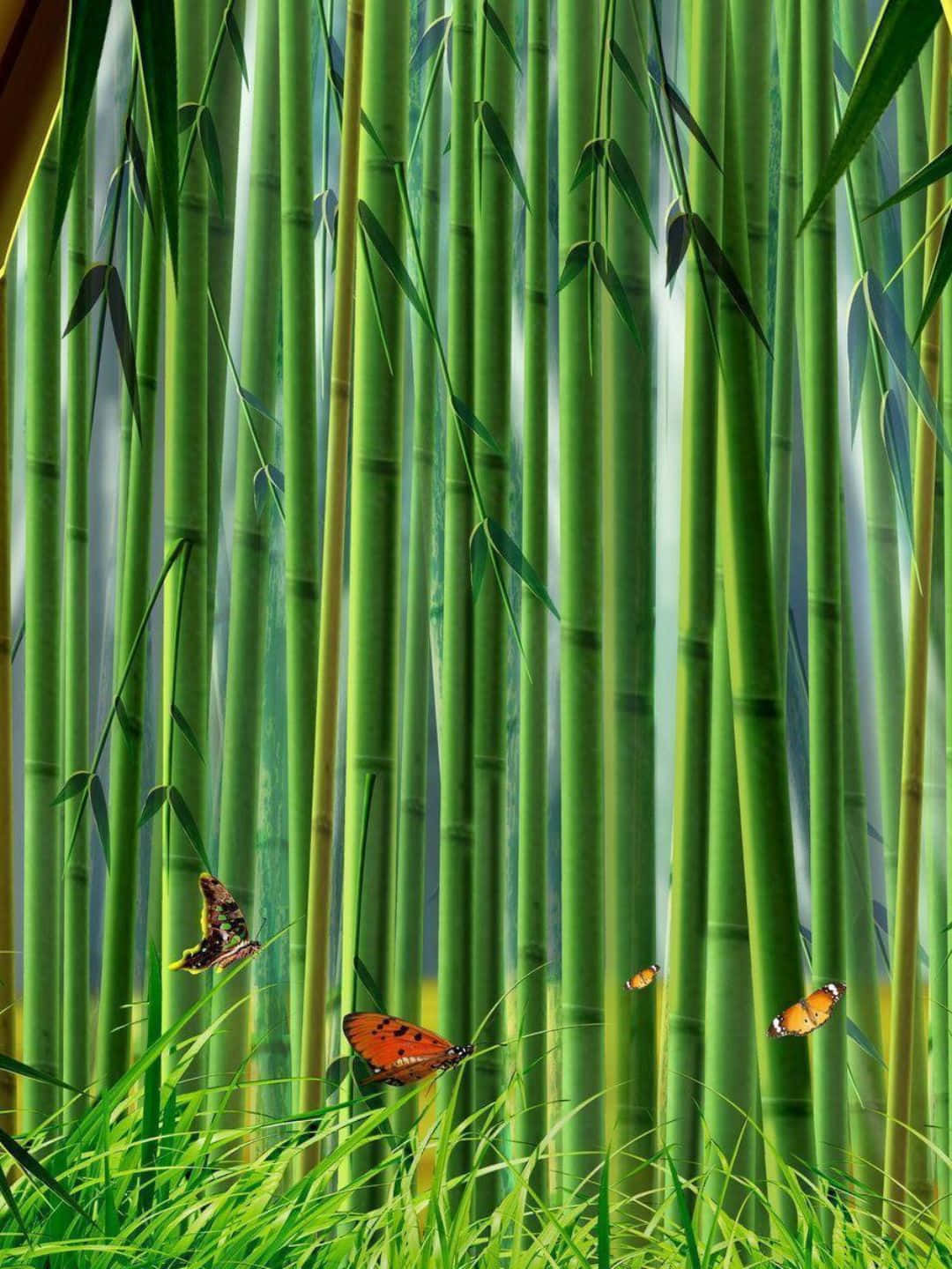 Bamboo Tree 桌布 壁紙 — 高大的翠綠竹莖聳立在鮮綠的草地上，色彩繽紛的蝴蝶在斑駁的陽光中飛舞。