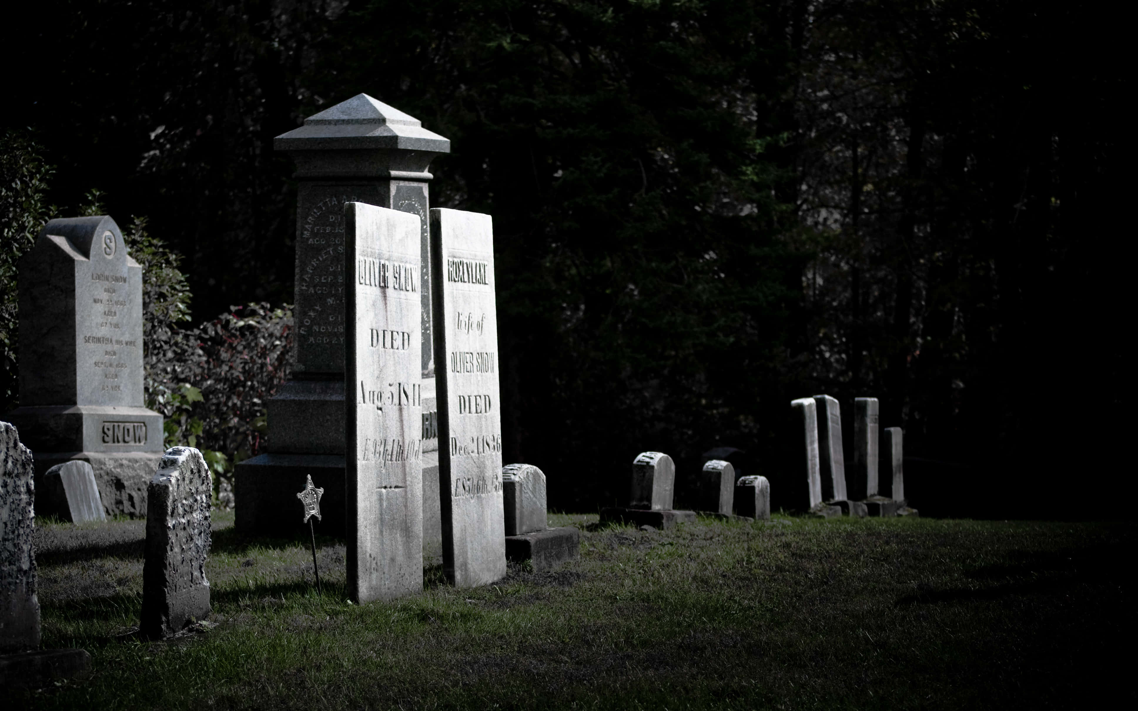 Graveyard 桌布 壁紙 — 高大的風化墓碑在昏暗的墓地中莊嚴聳立，周圍環繞著茂密的深色樹木。