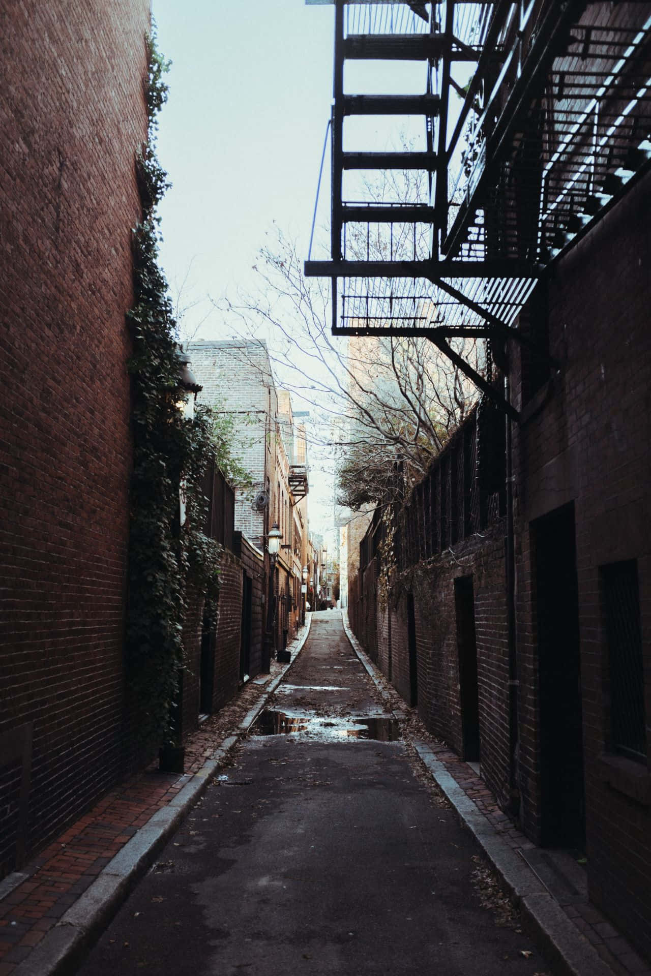 Sidewalk 桌布 壁紙 — 高樓之間狹窄的磚砌小巷，設有防火梯和攀爬牆壁的常春藤，天空蒼白。