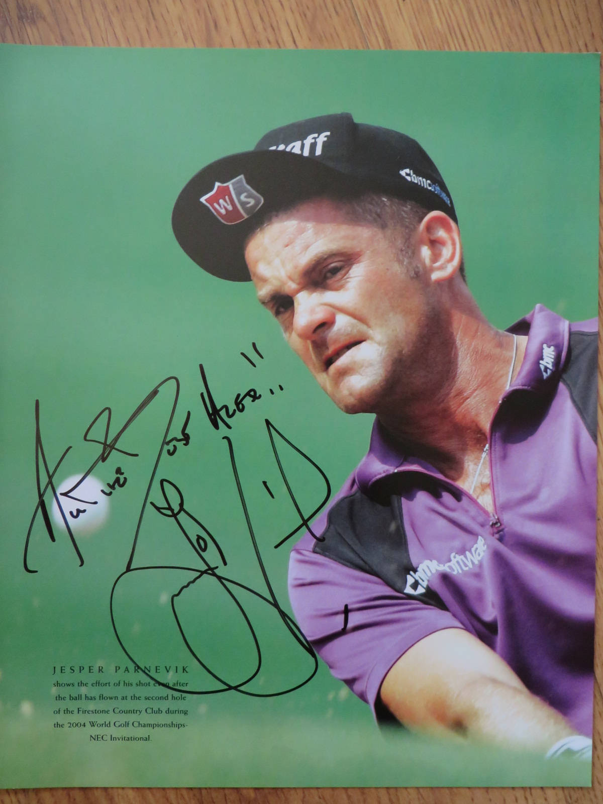 高爾夫 桌布 壁紙 — 高爾夫球手 Jesper Parnevik 在2004年的一場比賽中集中精神，面露痛苦表情，身穿紫色襯衫和黑色帽子，背景為綠色。