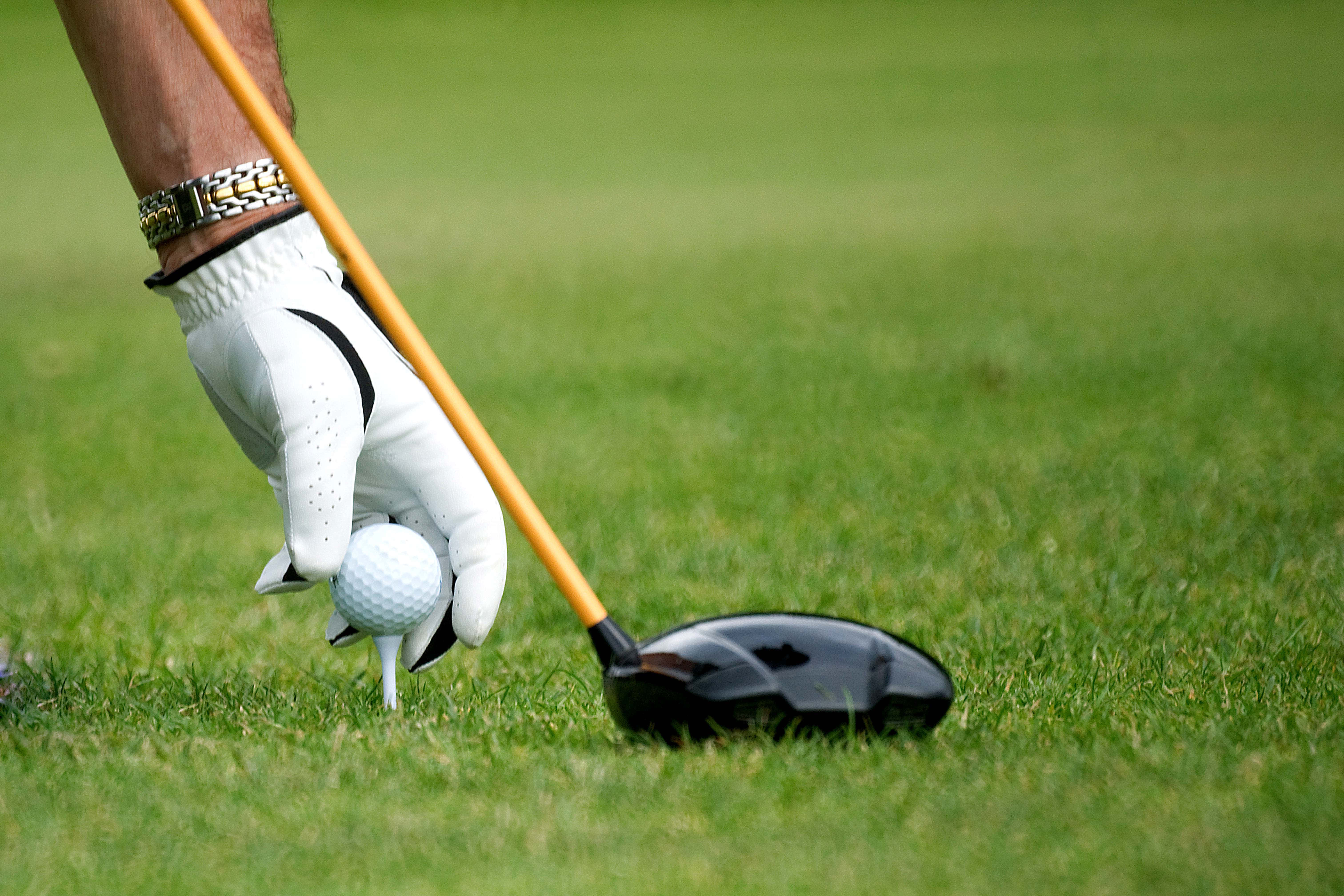 Golf Club 桌布 壁紙 — 高爾夫球手戴手套的手將一個白色高爾夫球放在球座上，旁邊是一支黑色球桿，在翠綠的球道上。