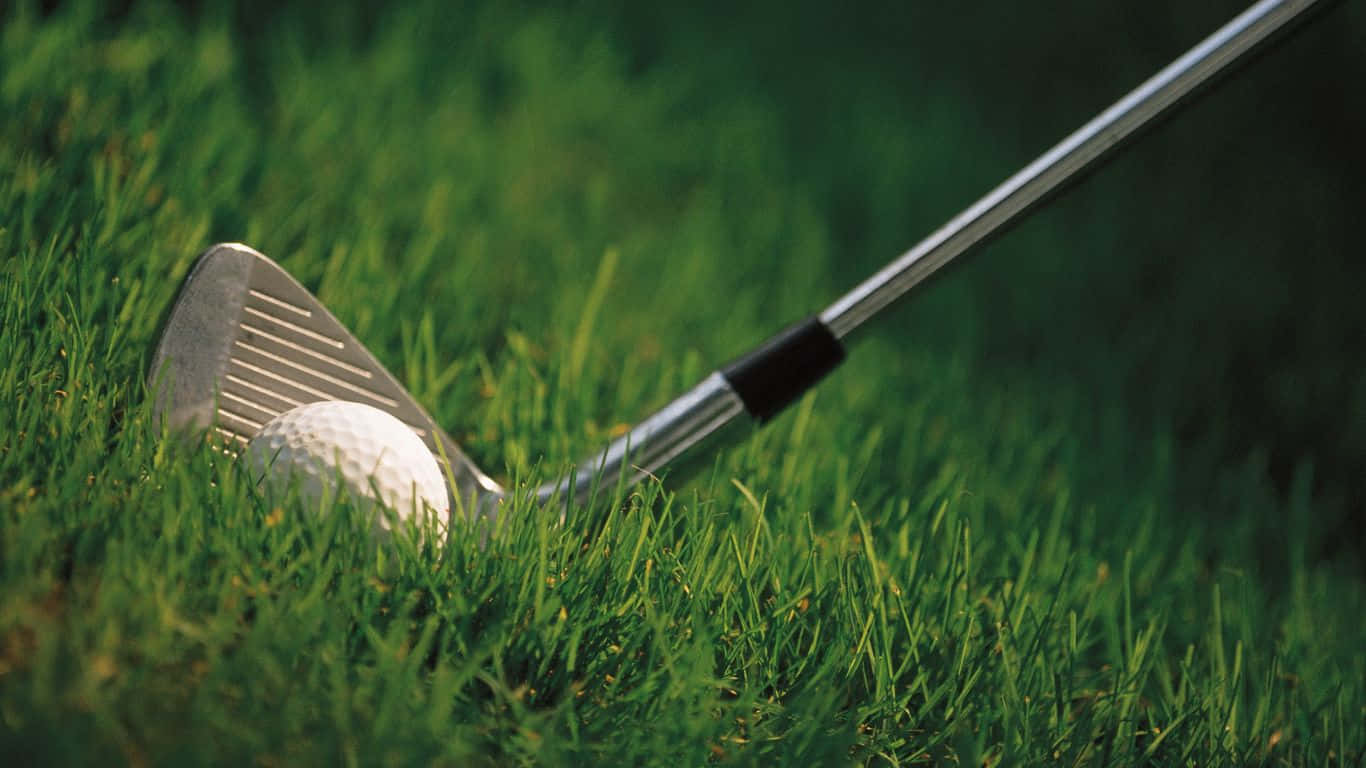1366x768 Golf Course 桌布 壁紙 — 高爾夫球桿準備擊打置於翠綠草地上的高爾夫球的近距離特寫。