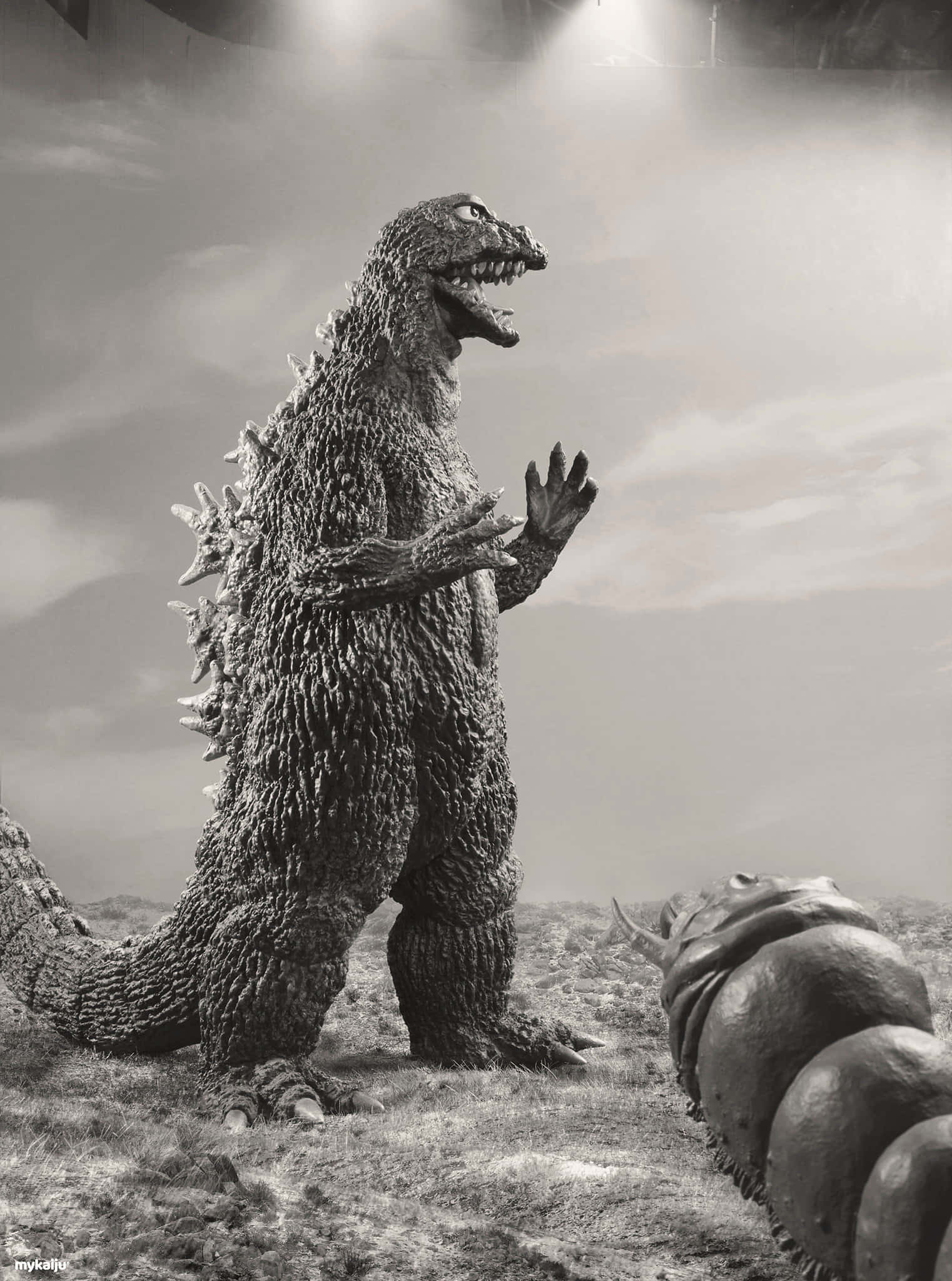 Godzilla Vs Mothra 桌布 壁紙 — 高聳的哥吉拉威風凜凜地站在岩石地形上，一隻巨大的蠕蟲狀生物在戲劇性的黑白場景中逼近。