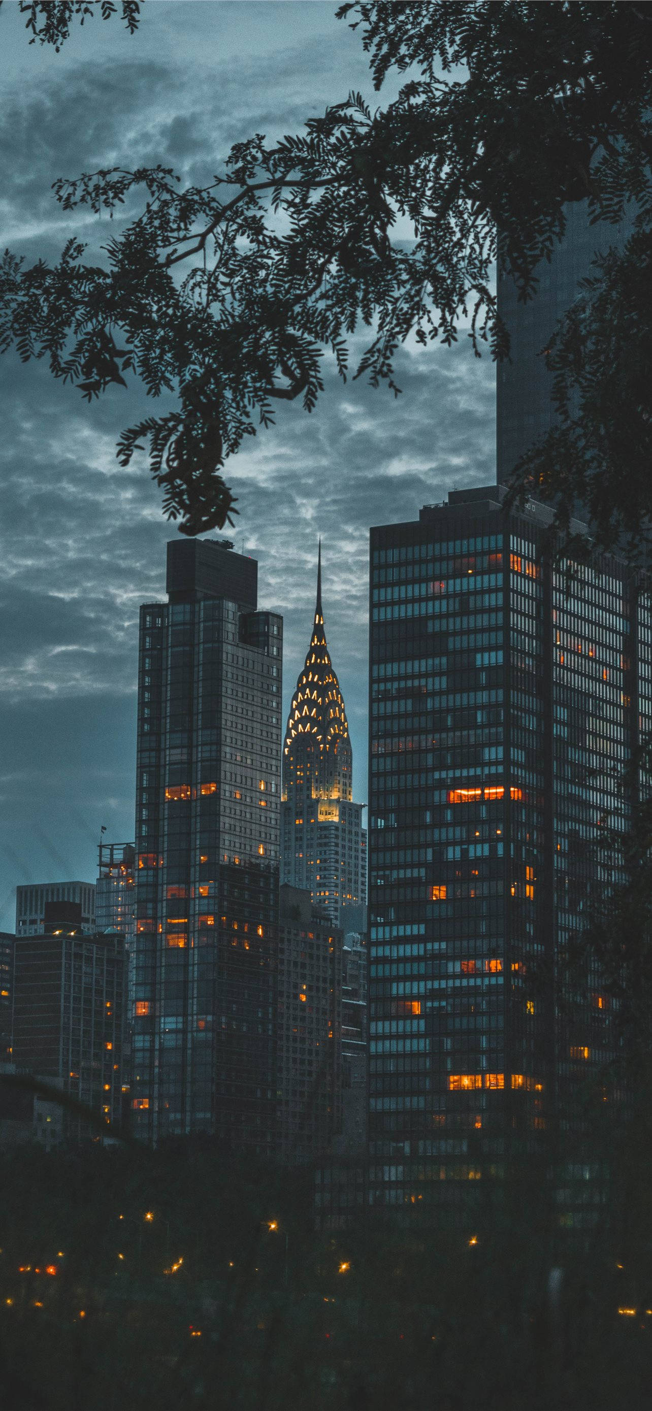 Skyscraper 桌布 壁紙 — 高聳的城市摩天大樓在昏暗的暮色天空下閃爍著溫暖的燈光，被深色的樹枝框住。